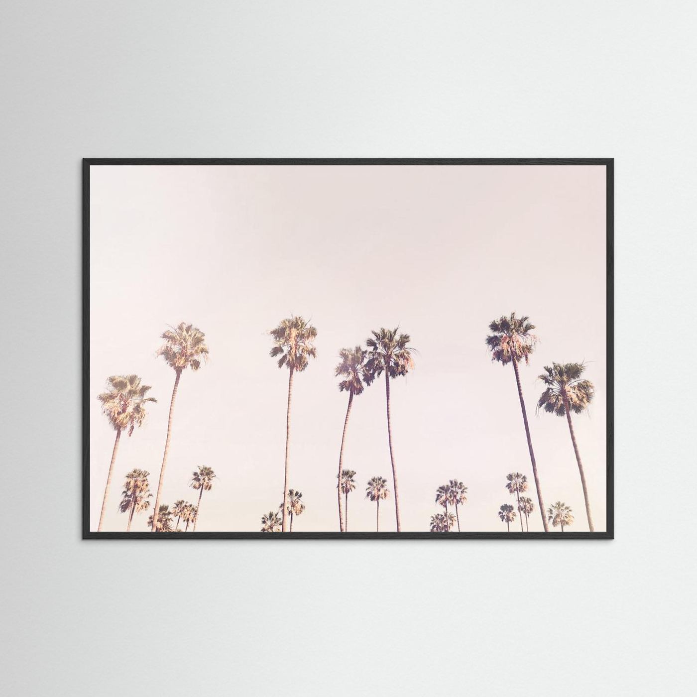 Sunny Cali Palm Trees by Kathrin Pienaar