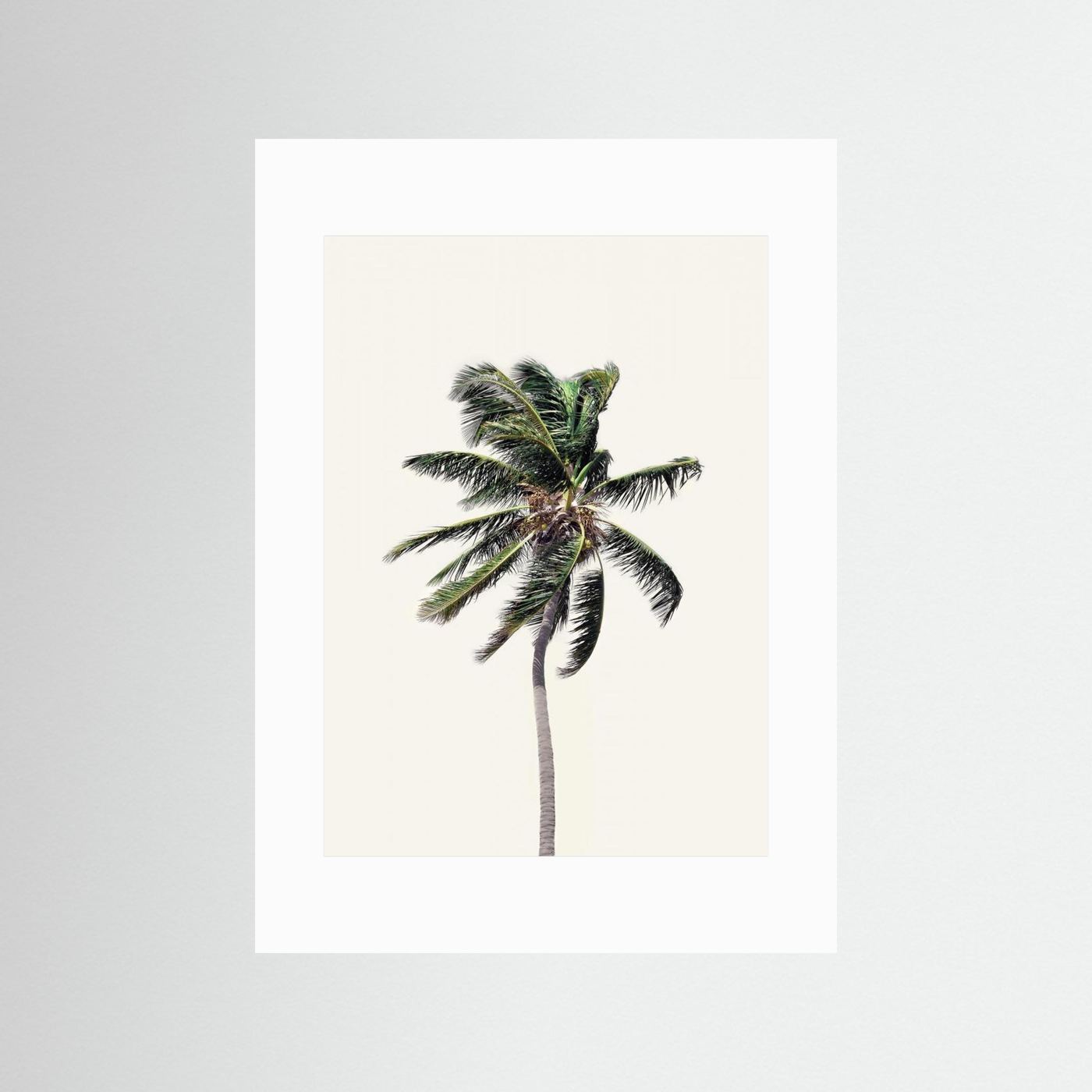 Windy Palm Tree by Kathrin Pienaar