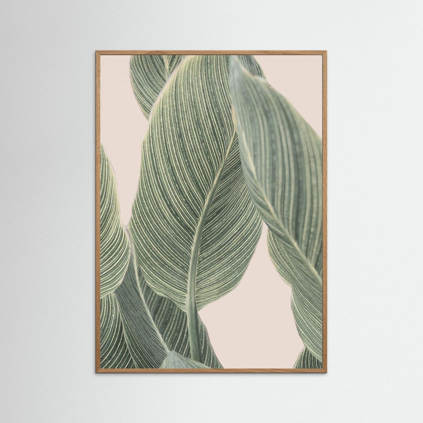Calla Leaf by Kathrin Pienaar