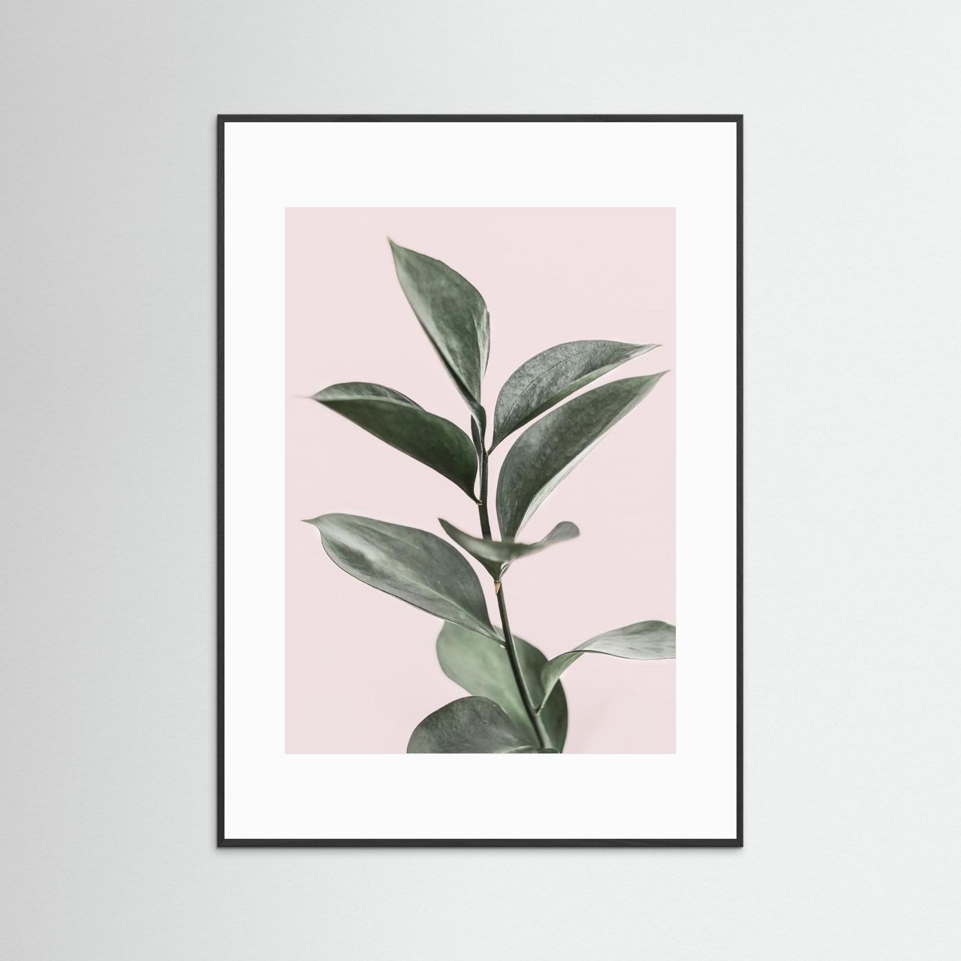 Foliage on Pink by Kathrin Pienaar