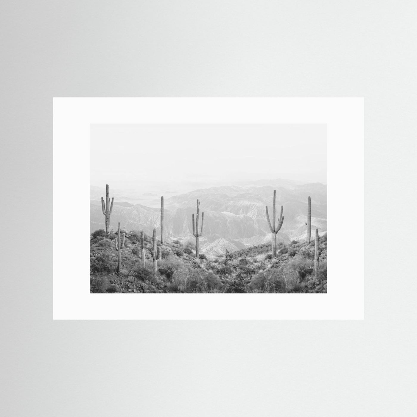 Western Cactus by Kathrin Pienaar