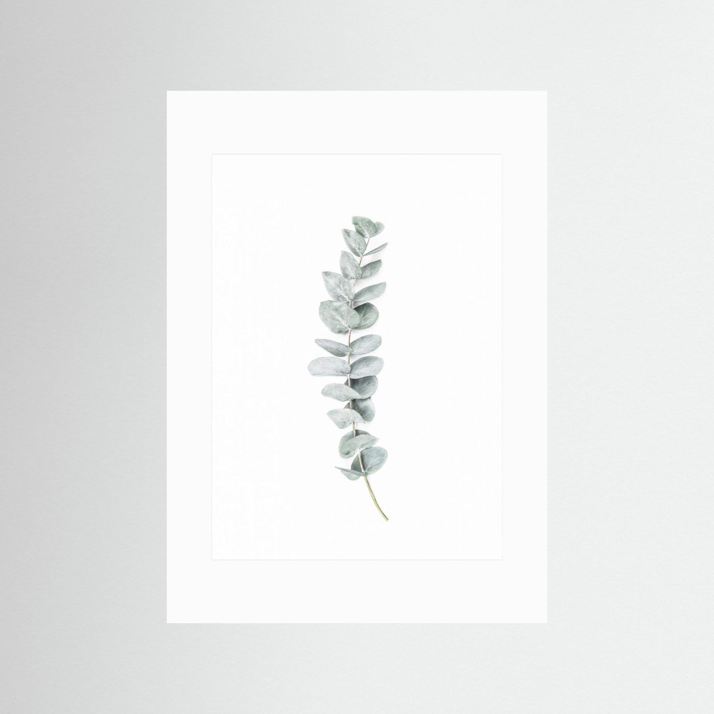 Eucalyptus II by Kathrin Pienaar