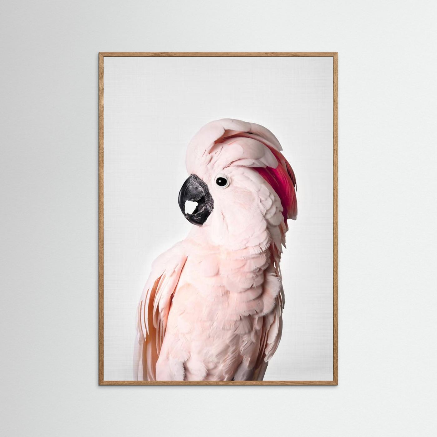 Pink Cockatoo by Kathrin Pienaar