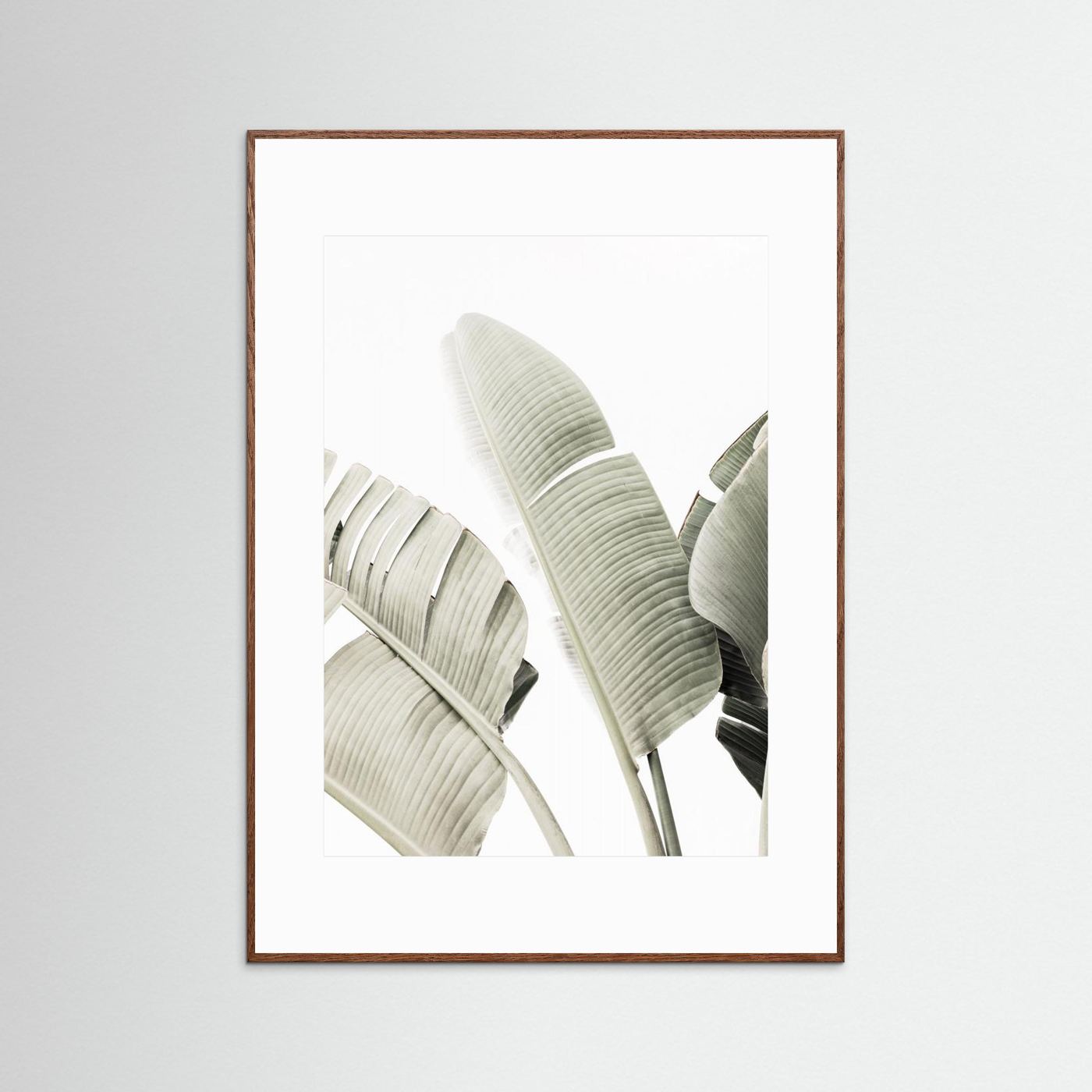 Banana leaf 1 by Kathrin Pienaar