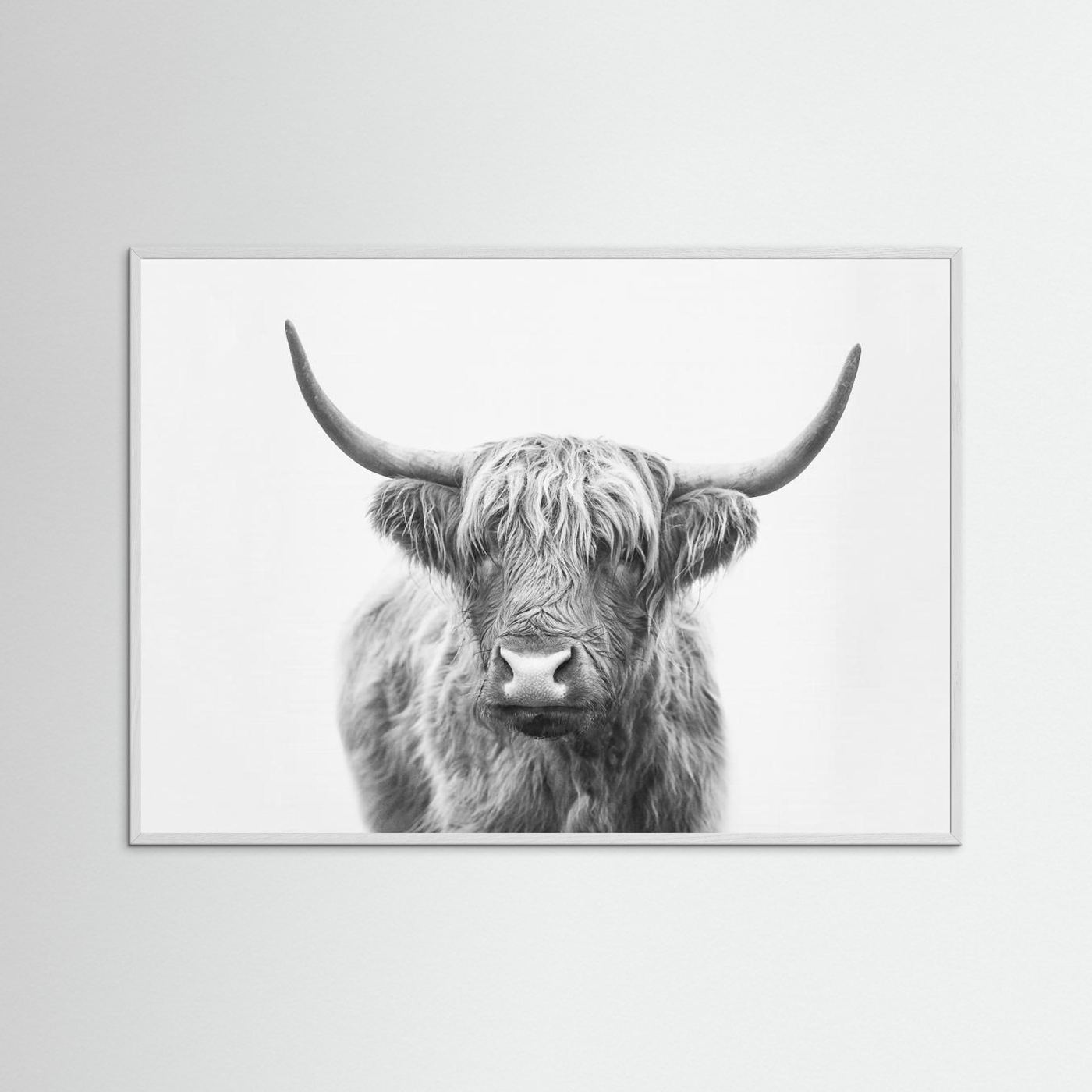 Highland Bull by Kathrin Pienaar