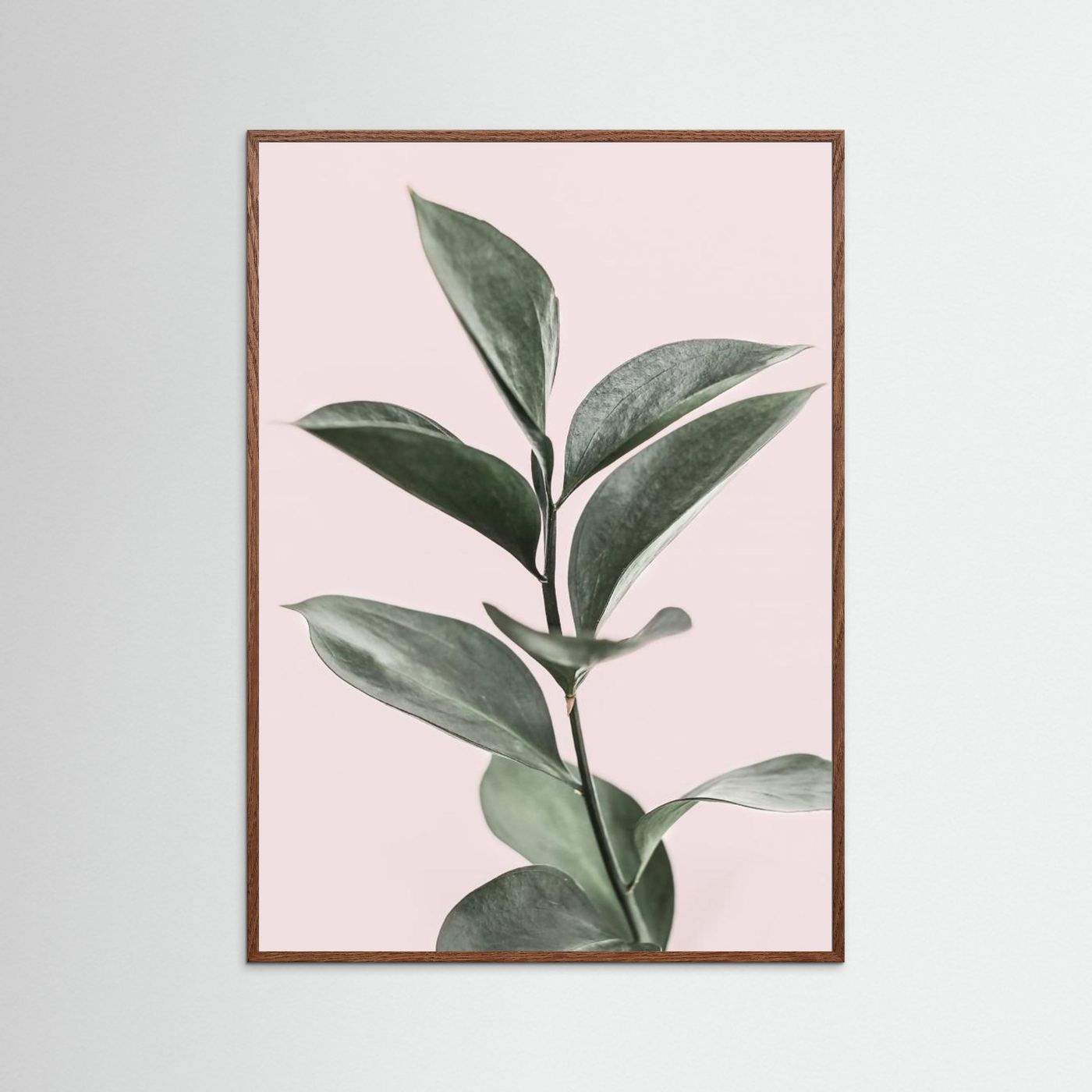 Foliage on Pink by Kathrin Pienaar