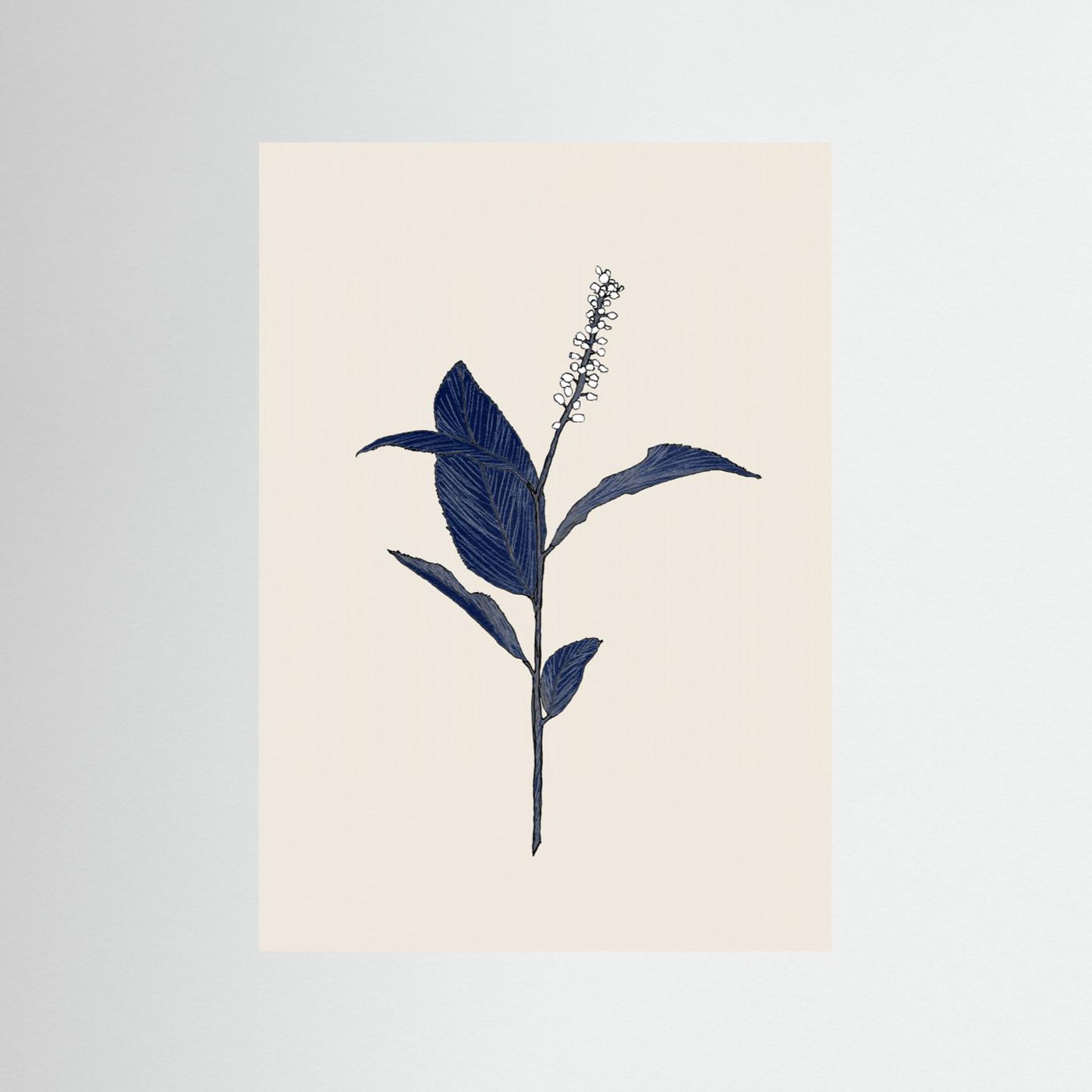 Botanical01 by Danushka Abeygoda