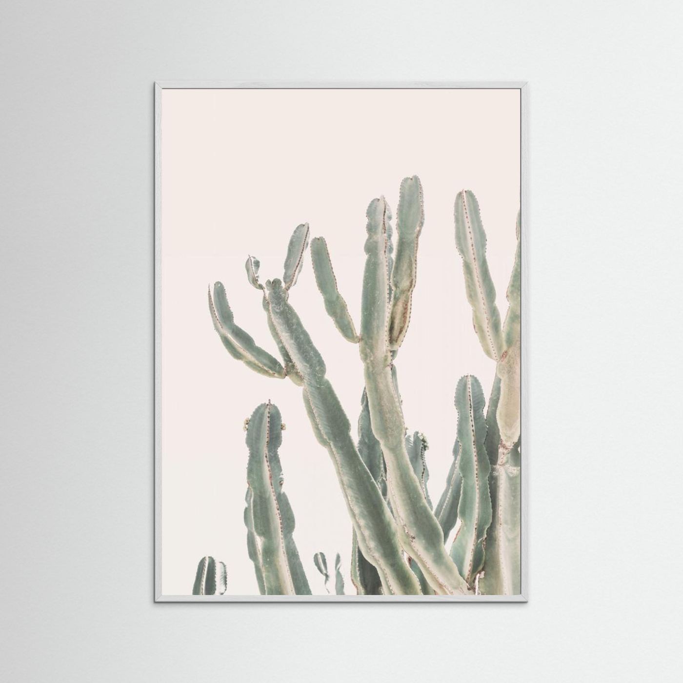 Sunrise Cactus by Kathrin Pienaar