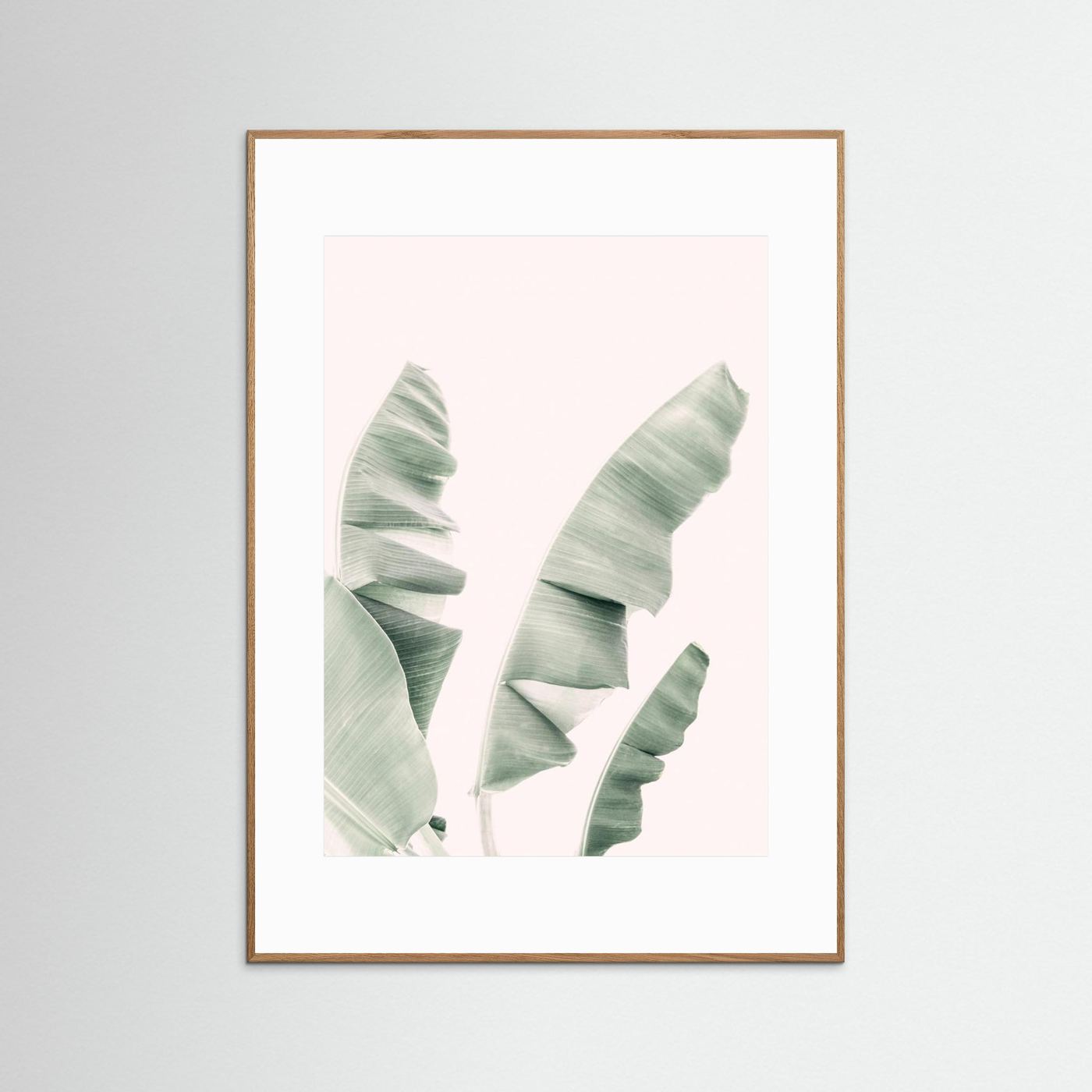 Blush Banana Leaves by Kathrin Pienaar