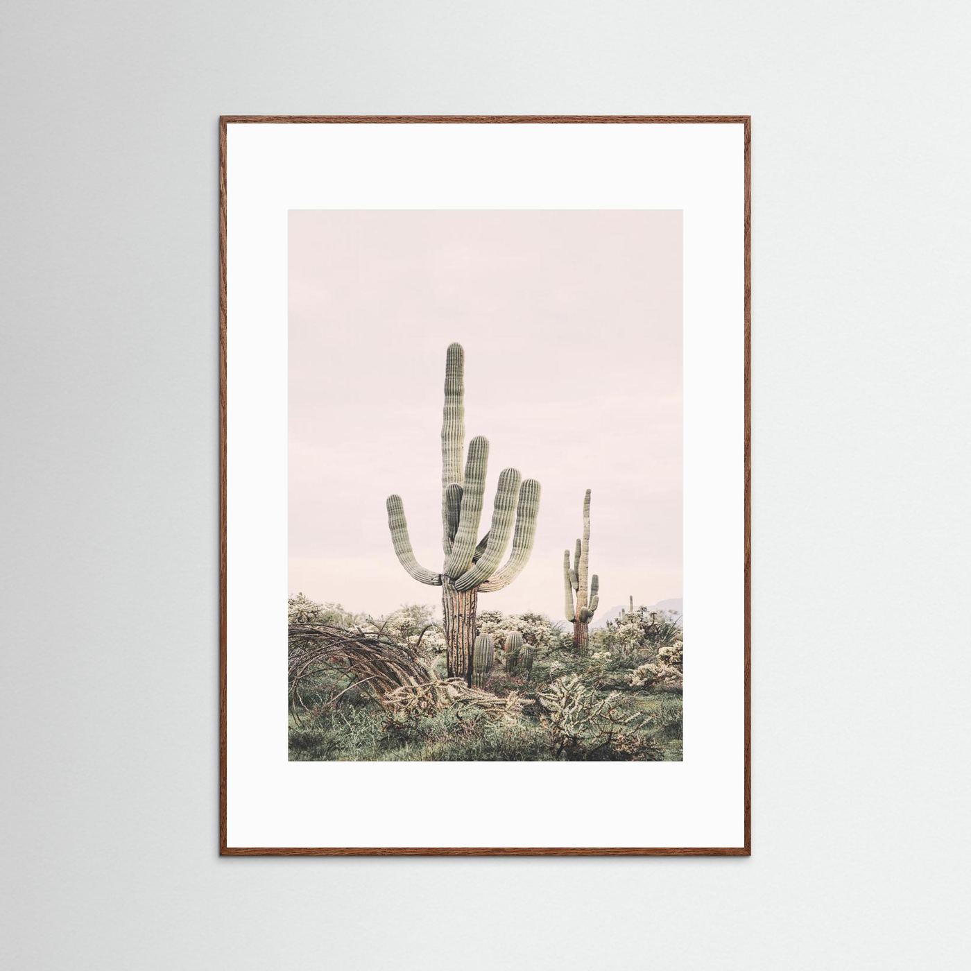 Pink Saguaro by Kathrin Pienaar