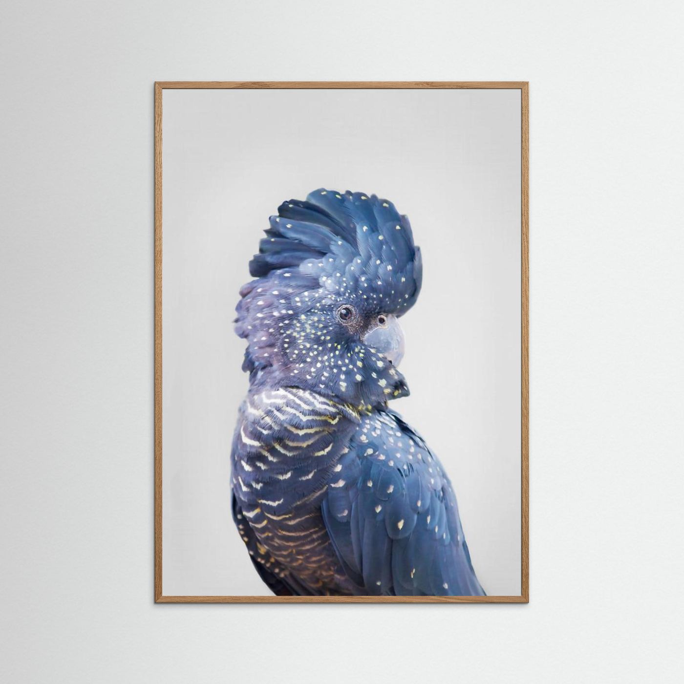 Black Cockatoo by Kathrin Pienaar