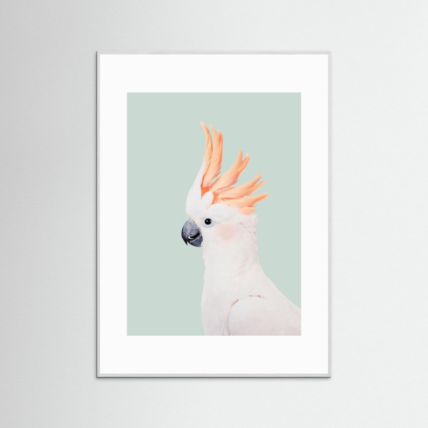 Cockatoo on Mint by Kathrin Pienaar