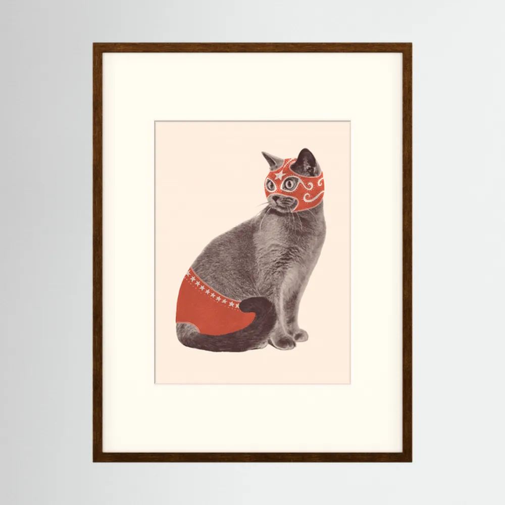 Chat Catcheur by Florent Bodart