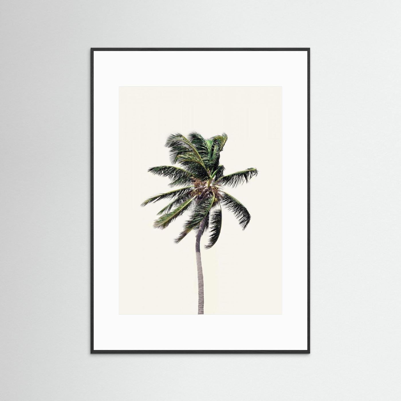Windy Palm Tree by Kathrin Pienaar