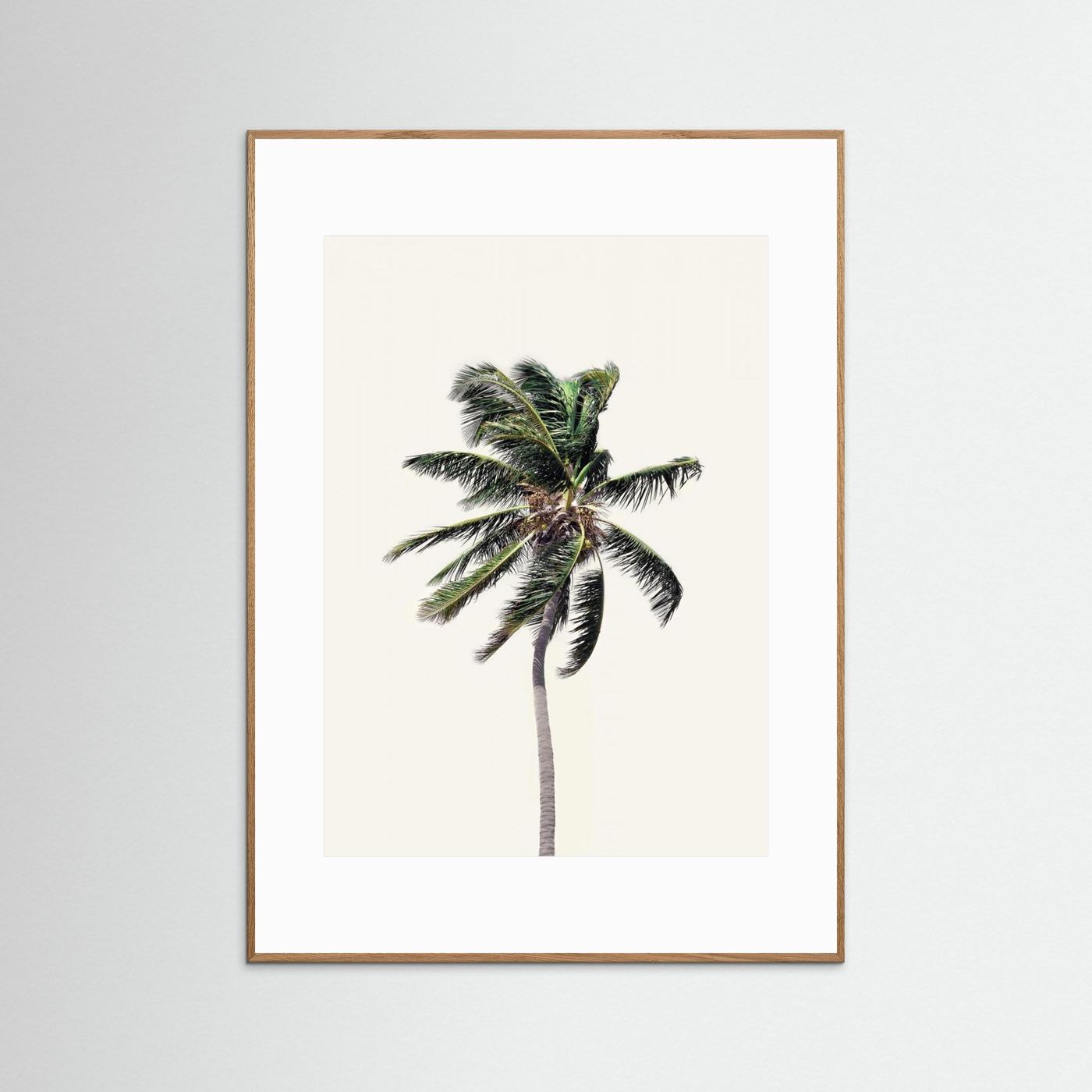 Windy Palm Tree by Kathrin Pienaar