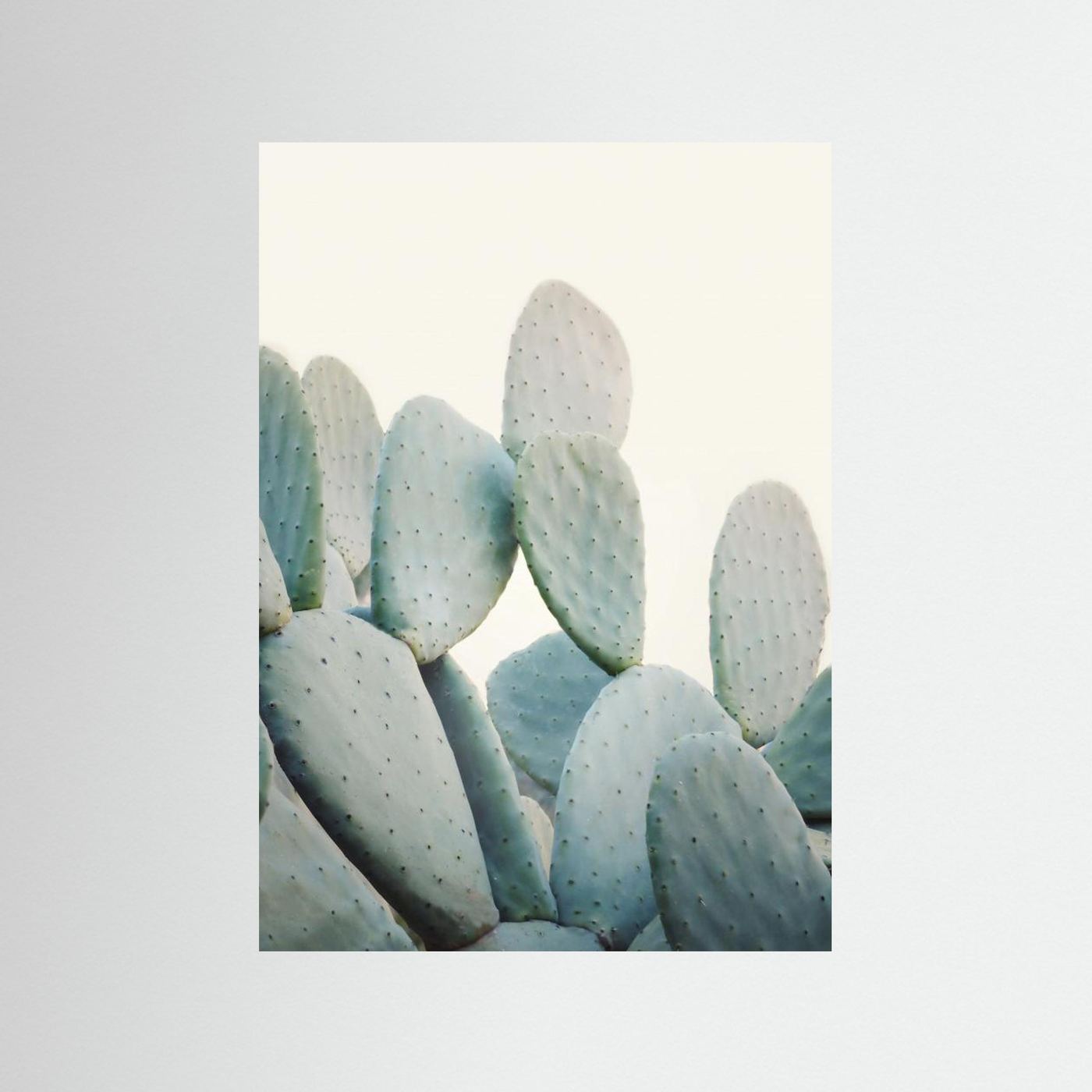 Pastel Cacti by Kathrin Pienaar