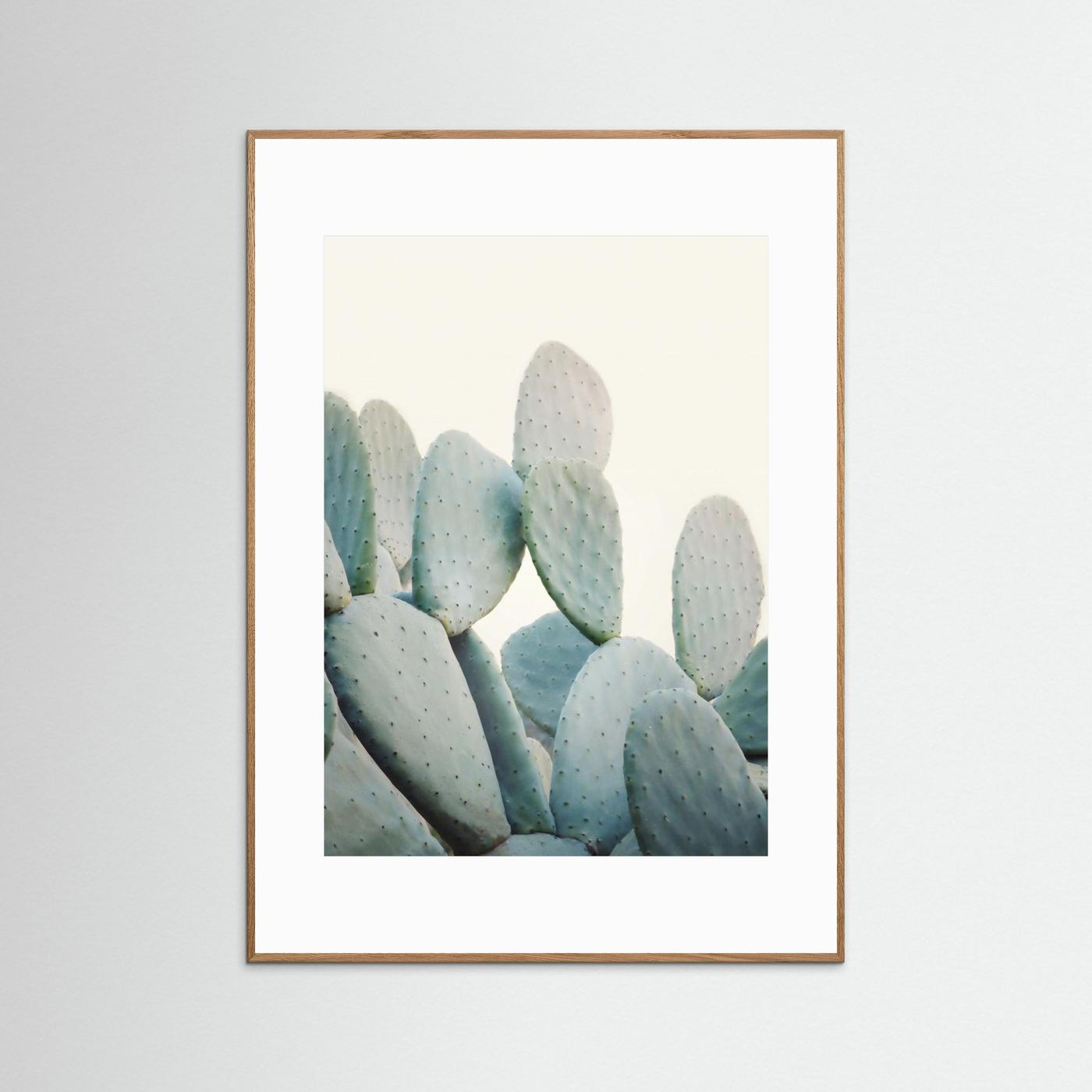 Pastel Cacti by Kathrin Pienaar