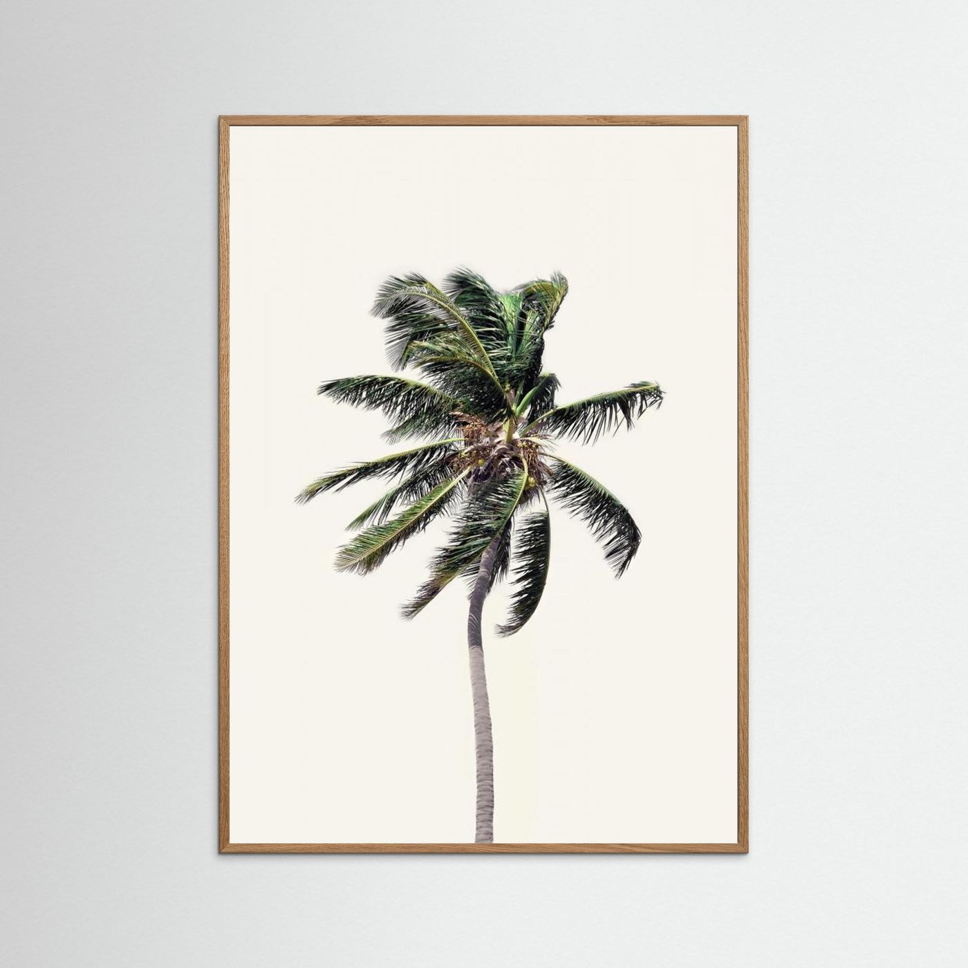 Windy Palm Tree by Kathrin Pienaar