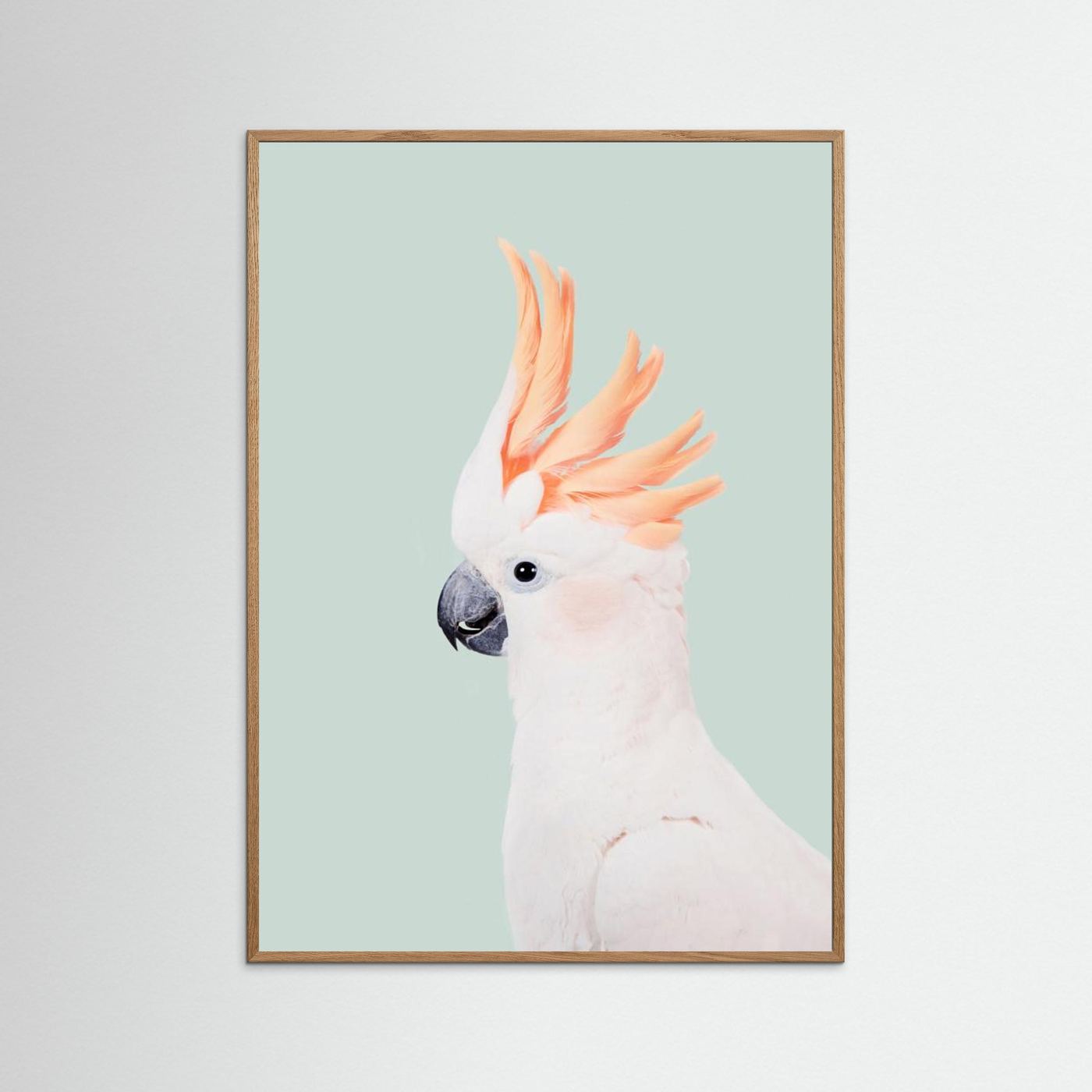Cockatoo on Mint by Kathrin Pienaar