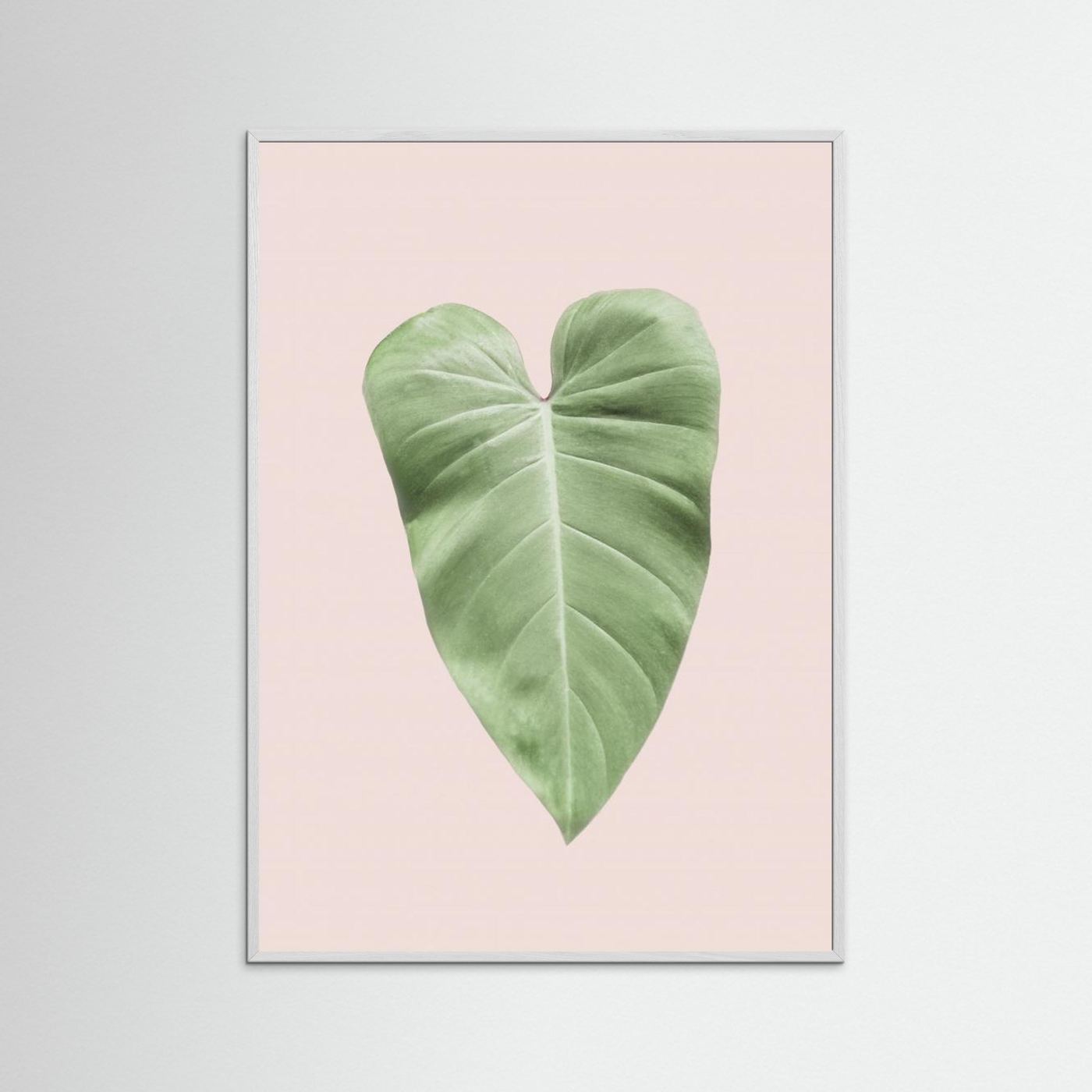 Tropical Leaf Blush by Kathrin Pienaar
