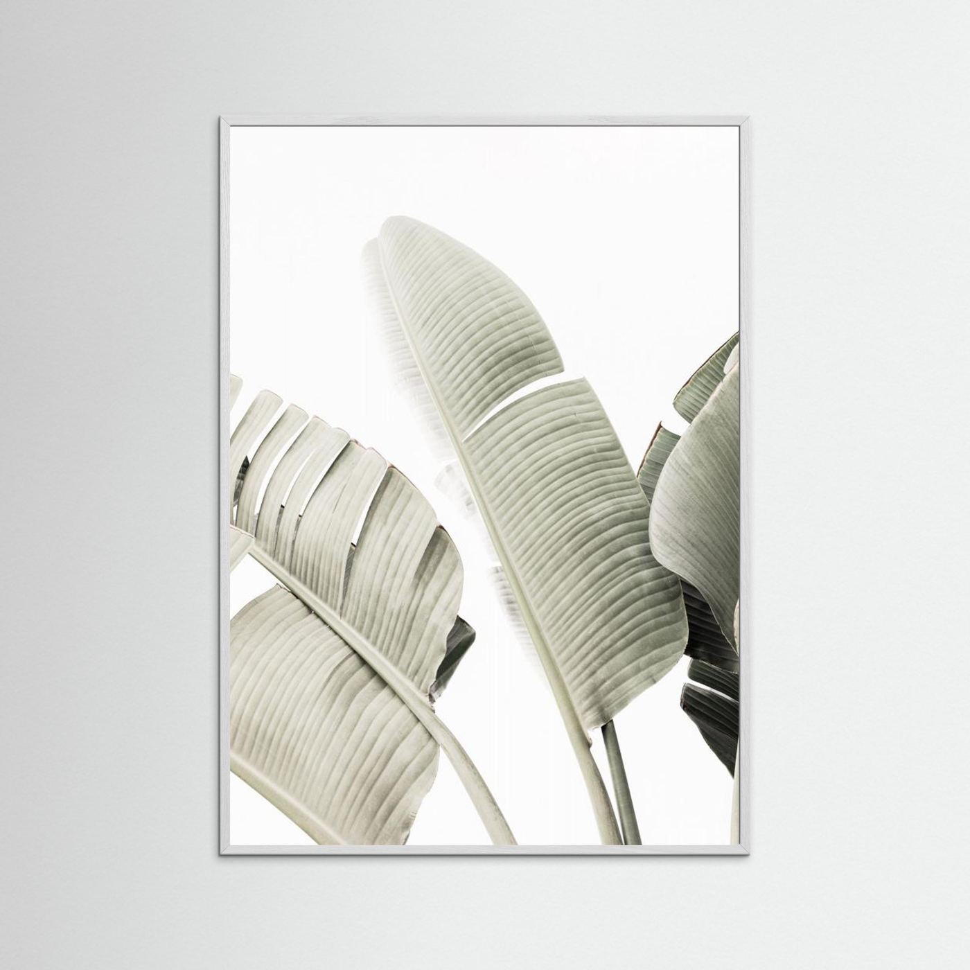 Banana leaf 1 by Kathrin Pienaar