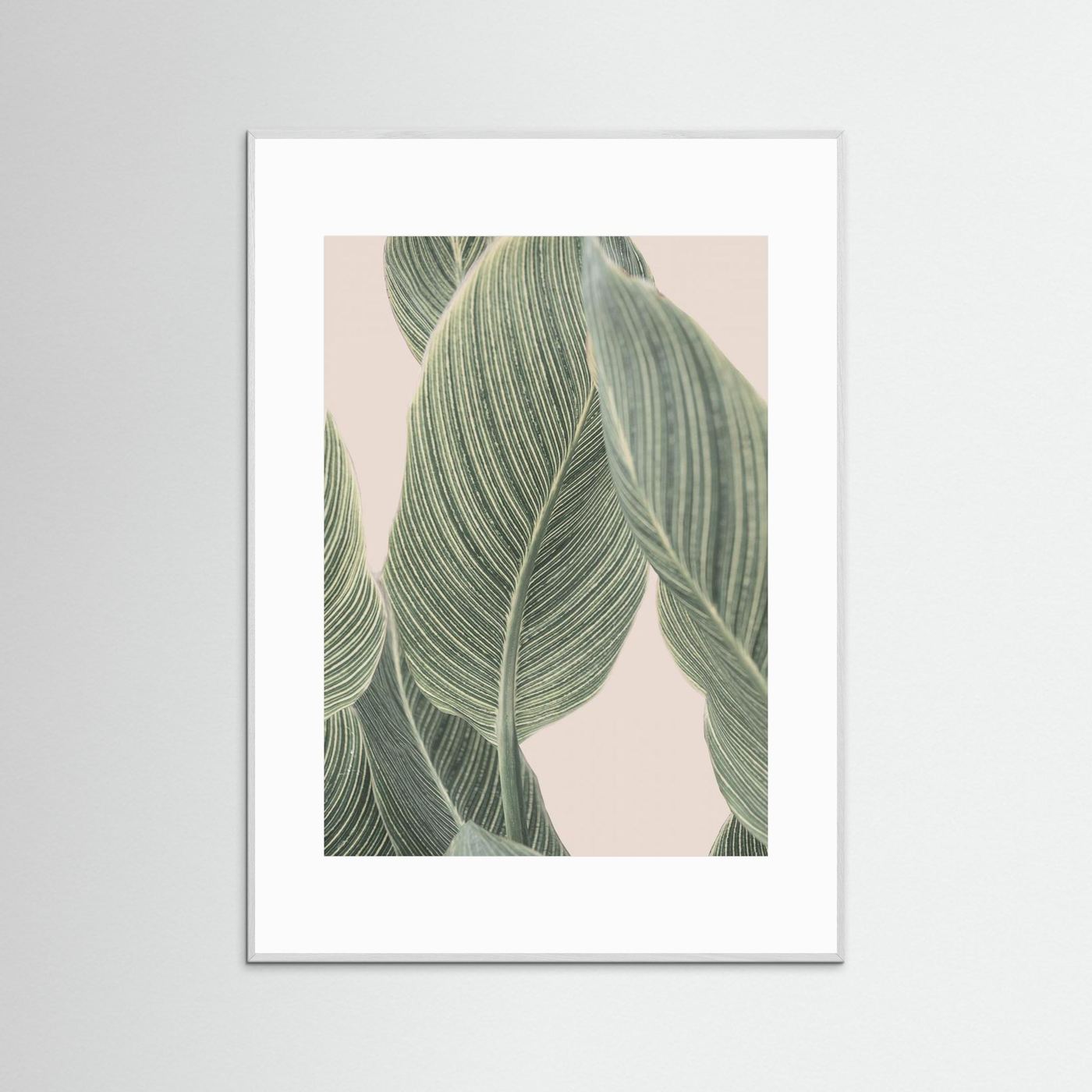 Calla Leaf by Kathrin Pienaar