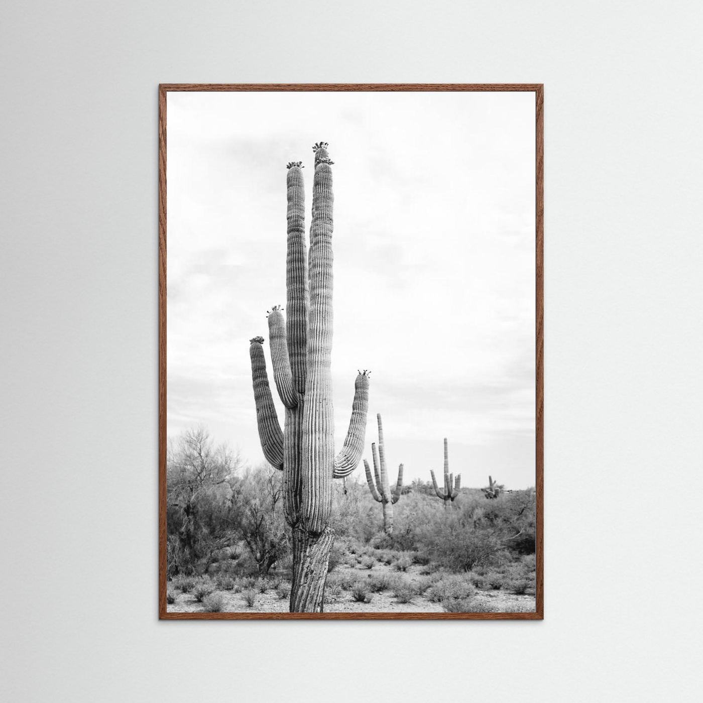 Saguaro B&amp;W by Kathrin Pienaar