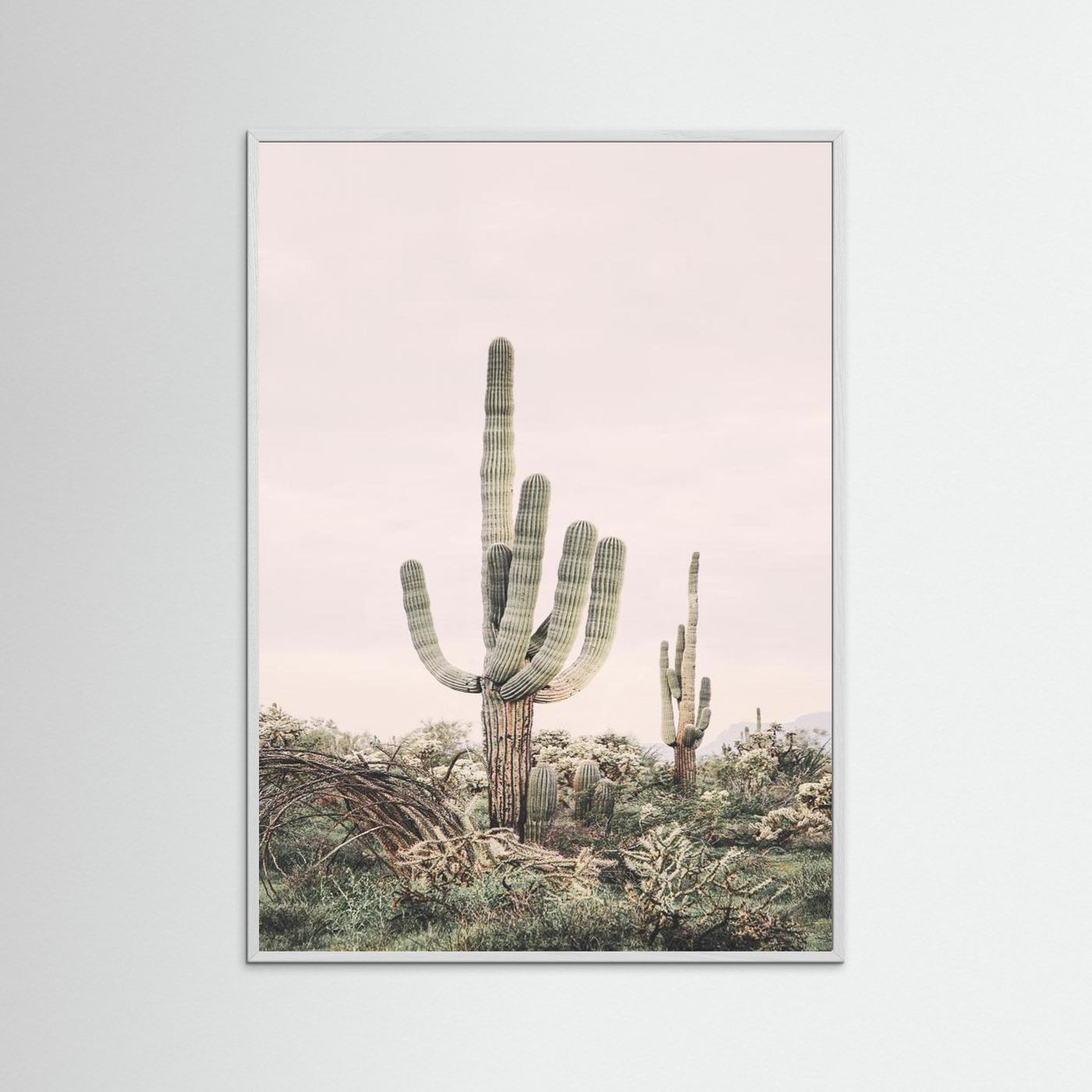 Pink Saguaro by Kathrin Pienaar