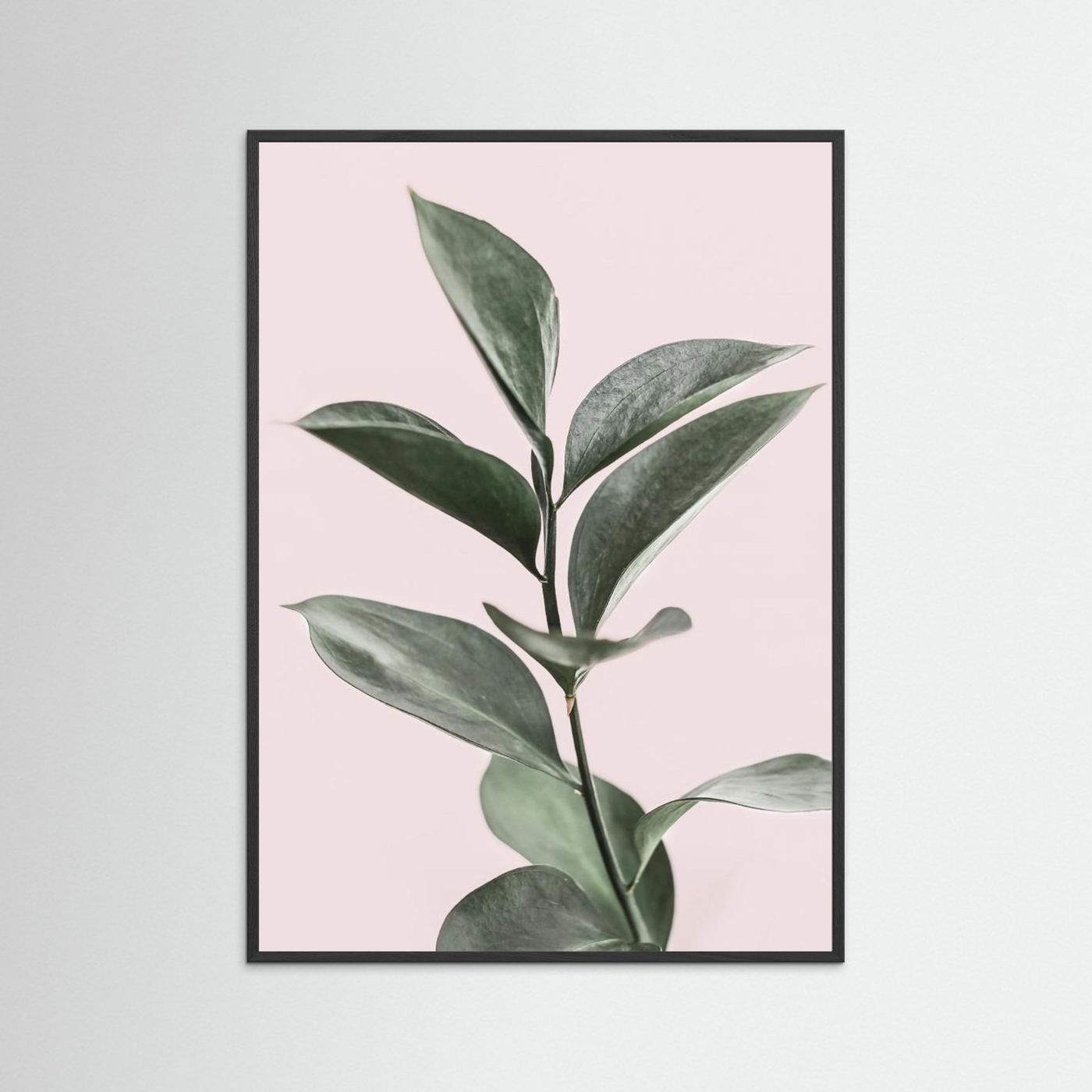 Foliage on Pink by Kathrin Pienaar