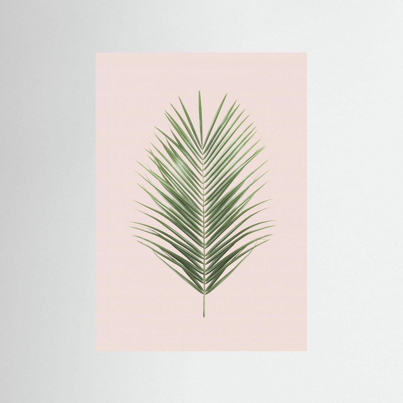 Palm Leaf Blush by Kathrin Pienaar