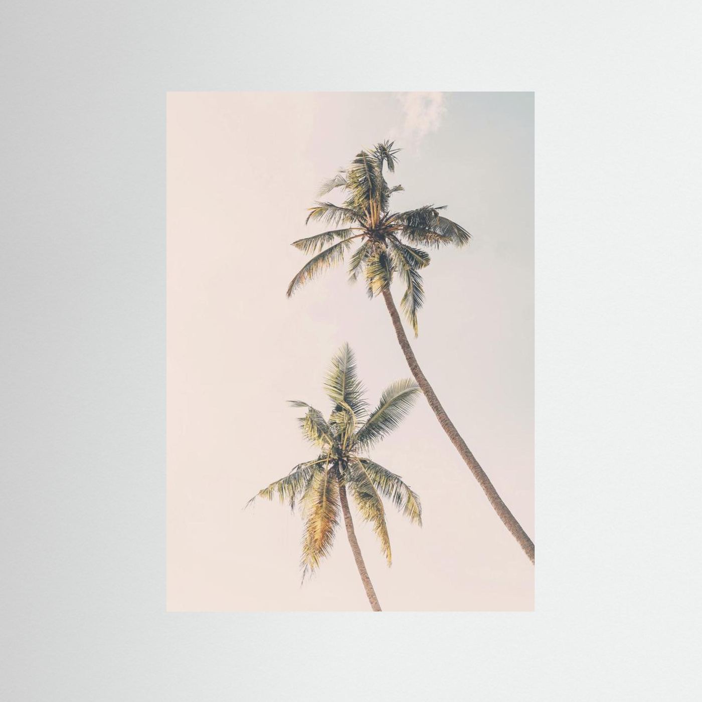 Tropical Palms by Kathrin Pienaar