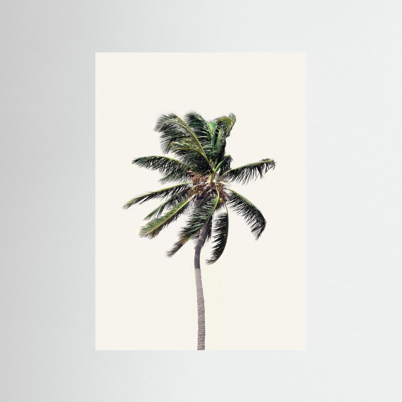 Windy Palm Tree by Kathrin Pienaar