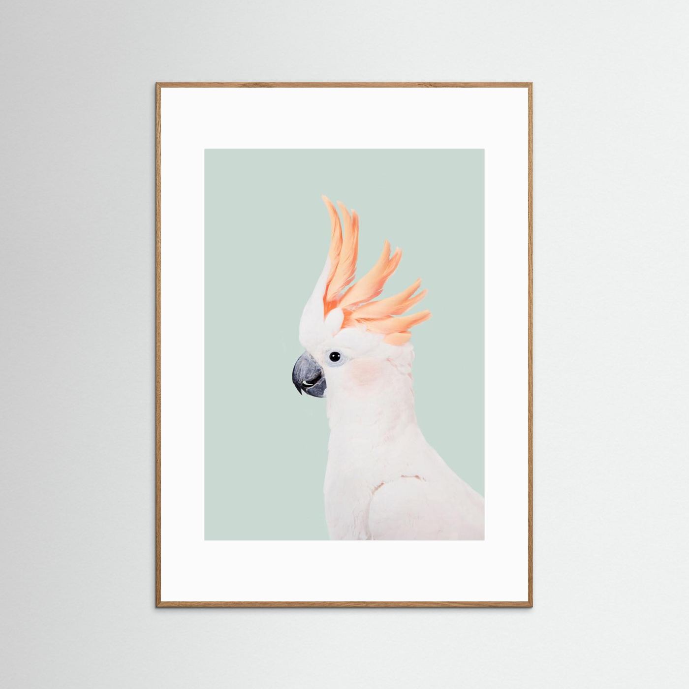 Cockatoo on Mint by Kathrin Pienaar