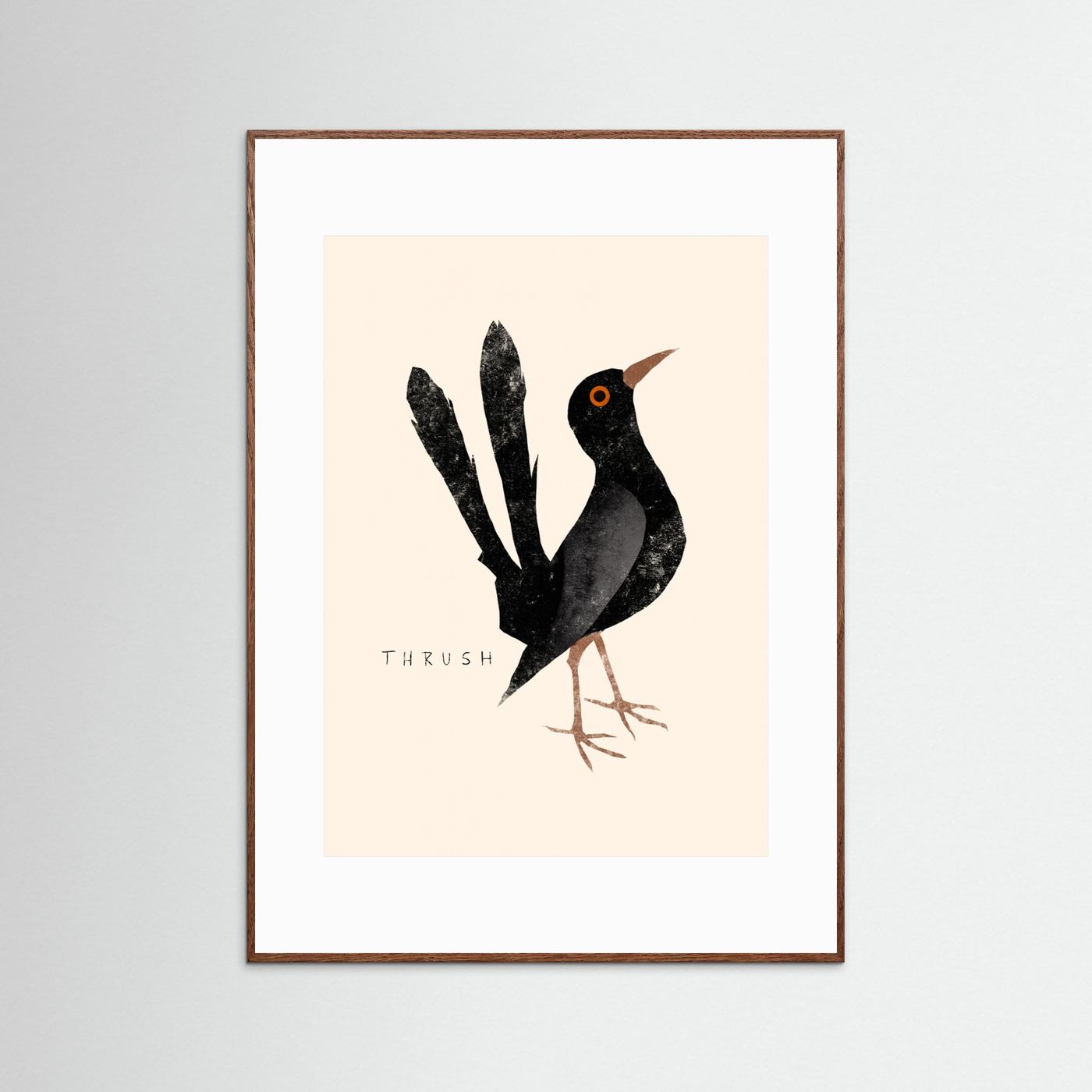 Elegant Black Thrush by Josephin Hermsdorf