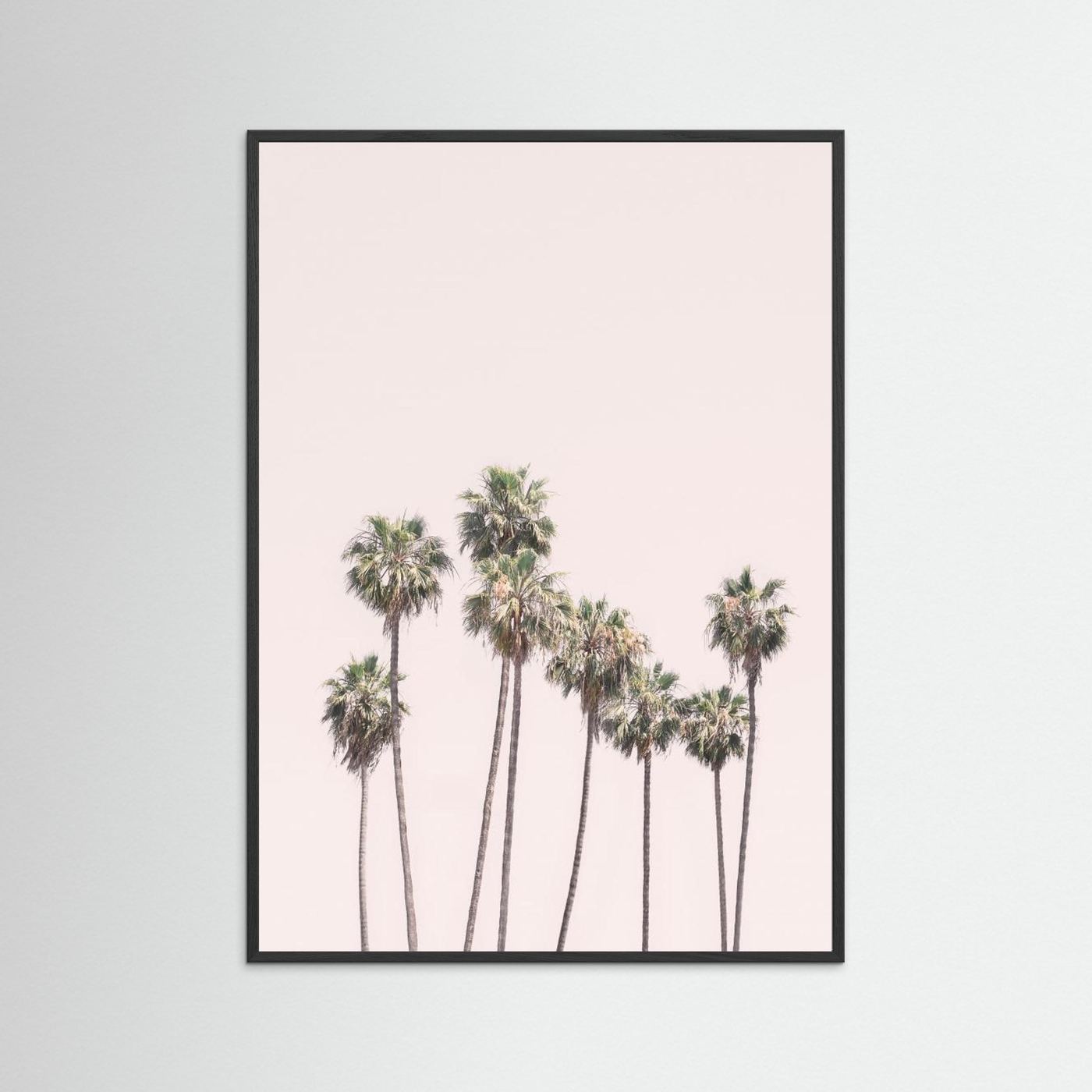 Blush Palms by Kathrin Pienaar
