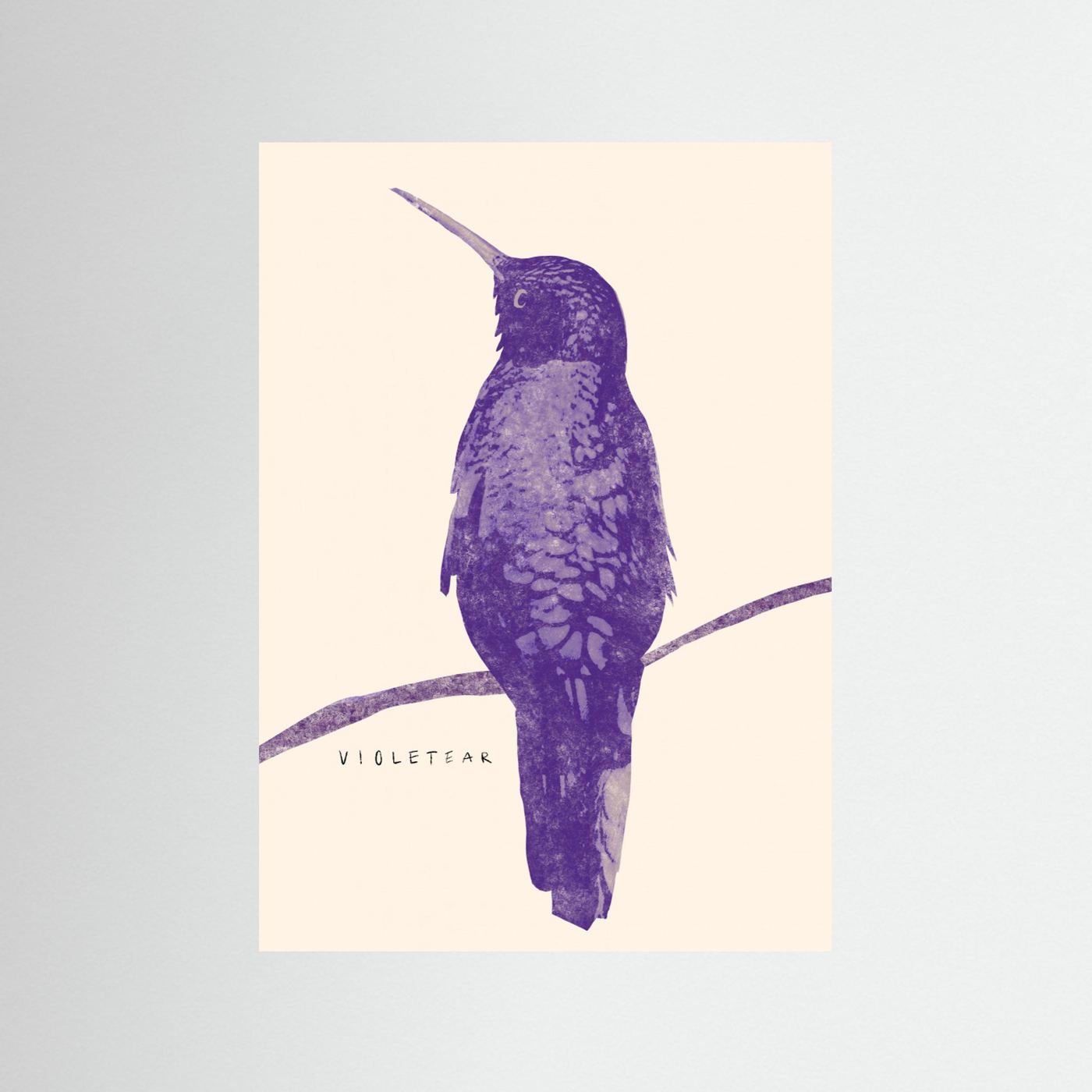 Elegant Violet Hummingbird by Josephin Hermsdorf