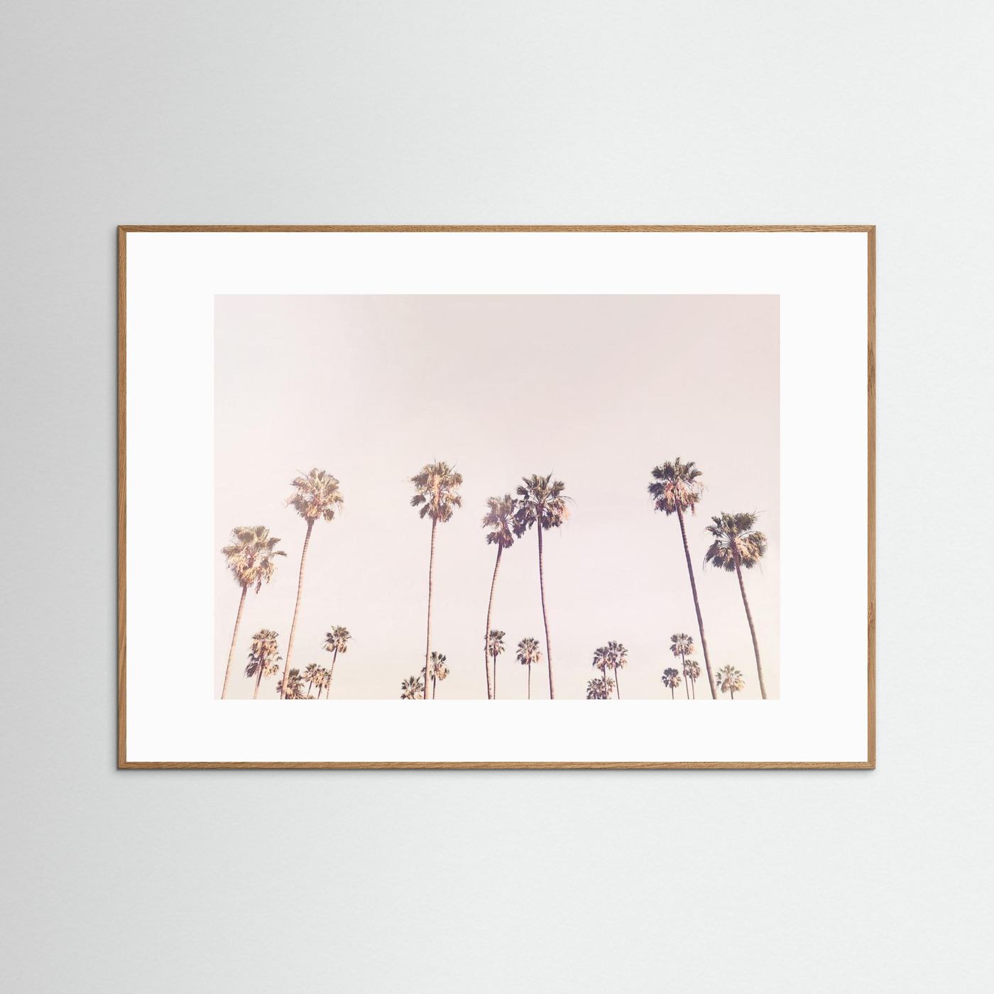 Sunny Cali Palm Trees by Kathrin Pienaar