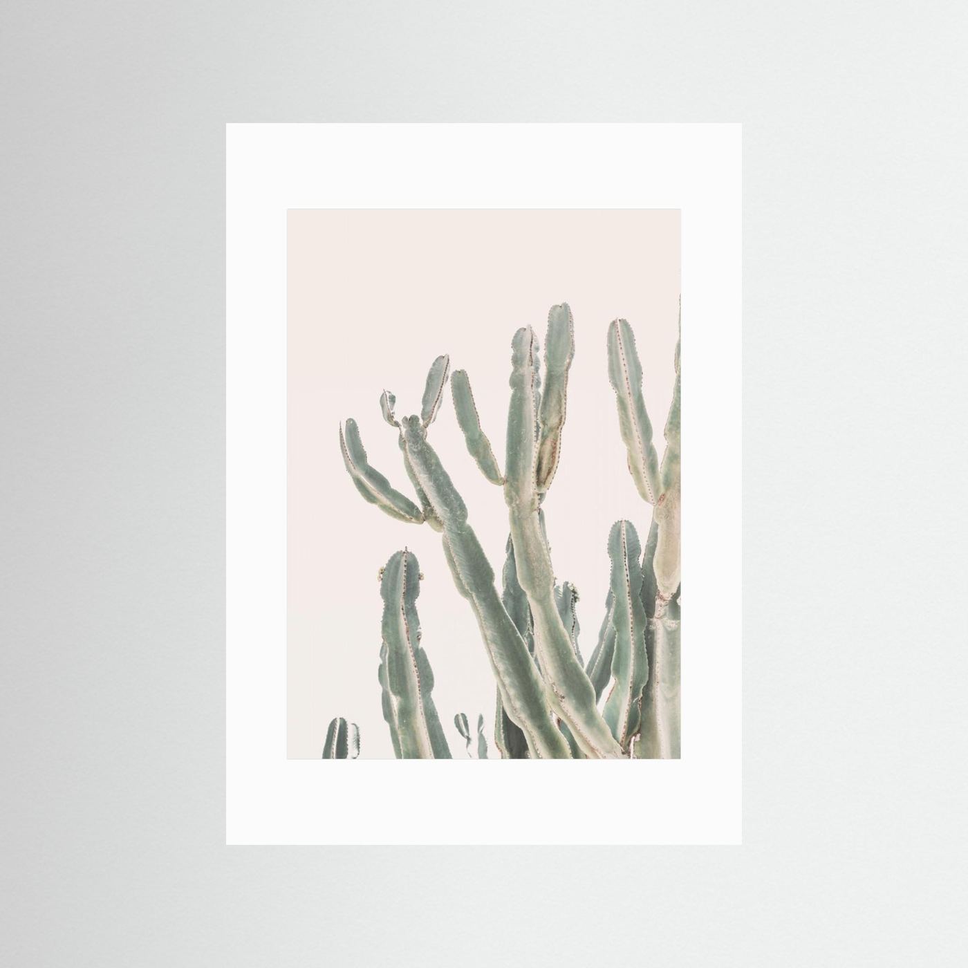 Sunrise Cactus by Kathrin Pienaar
