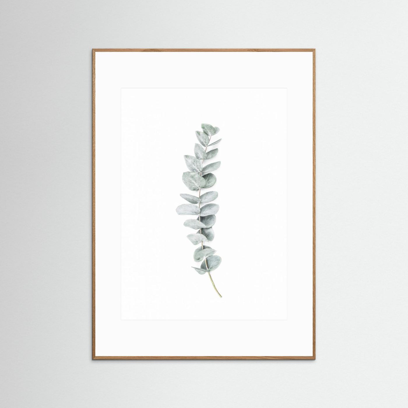 Eucalyptus II by Kathrin Pienaar