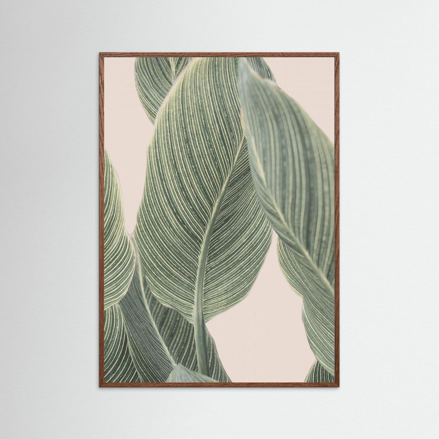 Calla Leaf by Kathrin Pienaar