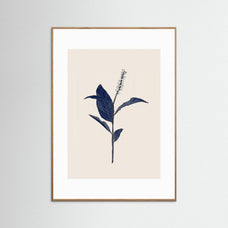 Botanical01 by Danushka Abeygoda