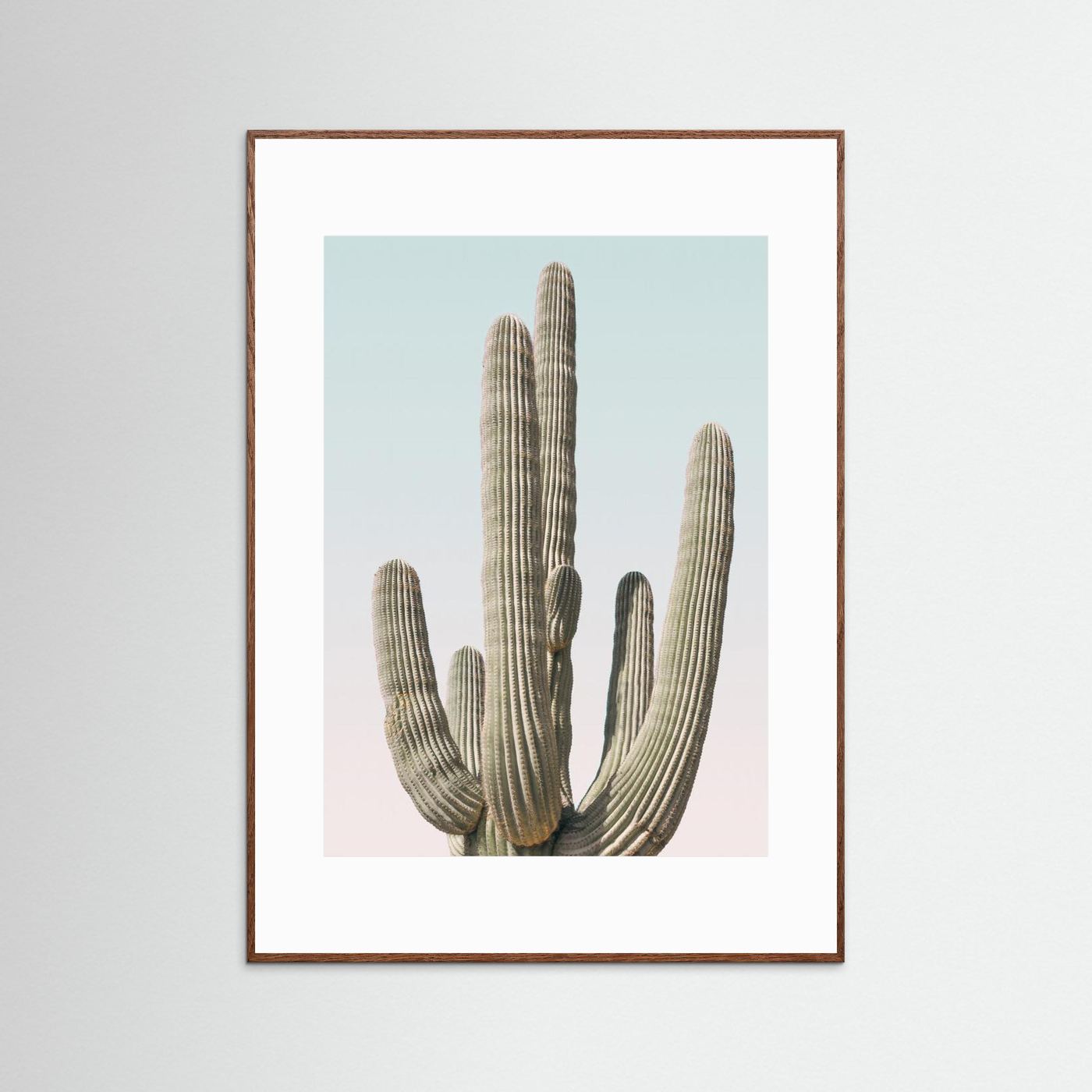 Saguaro by Kathrin Pienaar