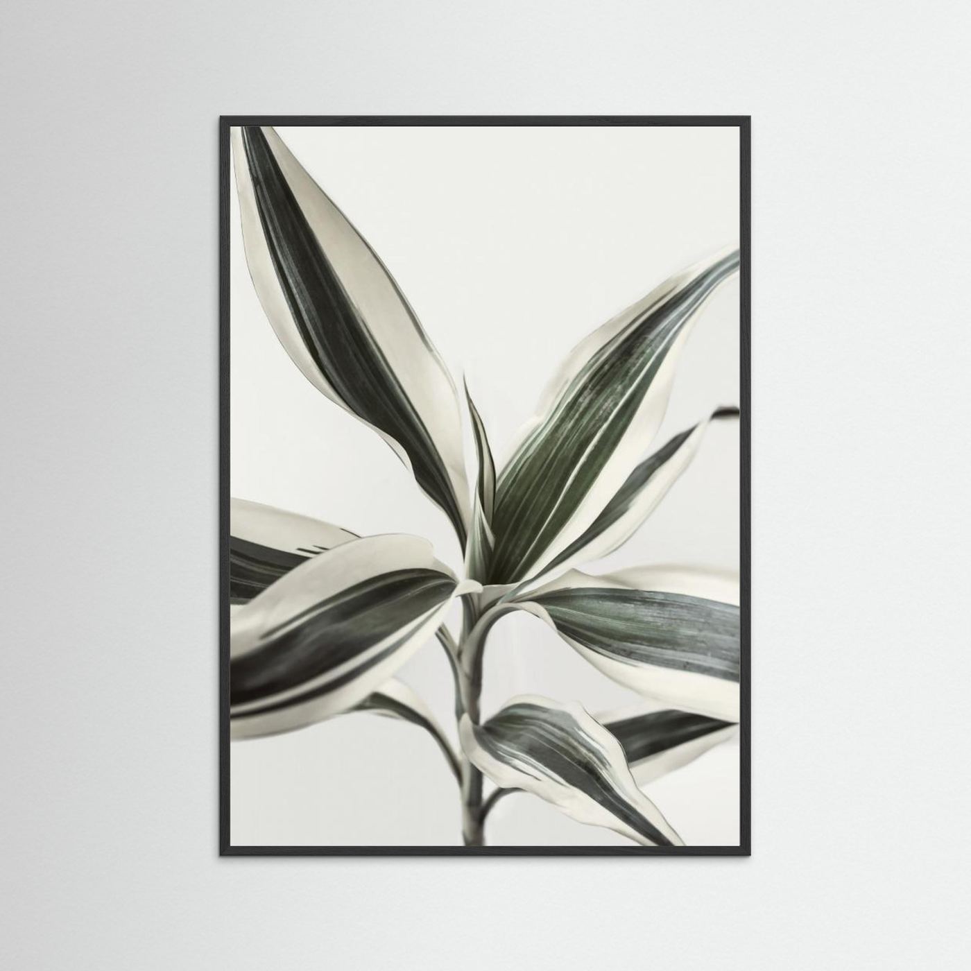Foliage by Kathrin Pienaar