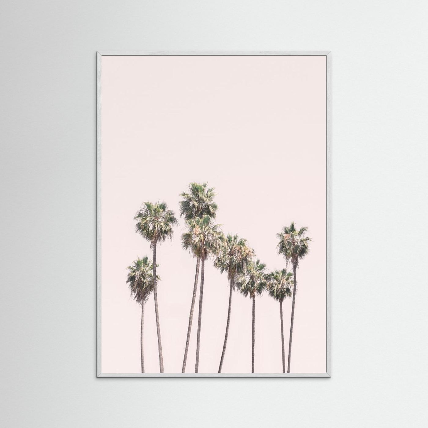Blush Palms by Kathrin Pienaar