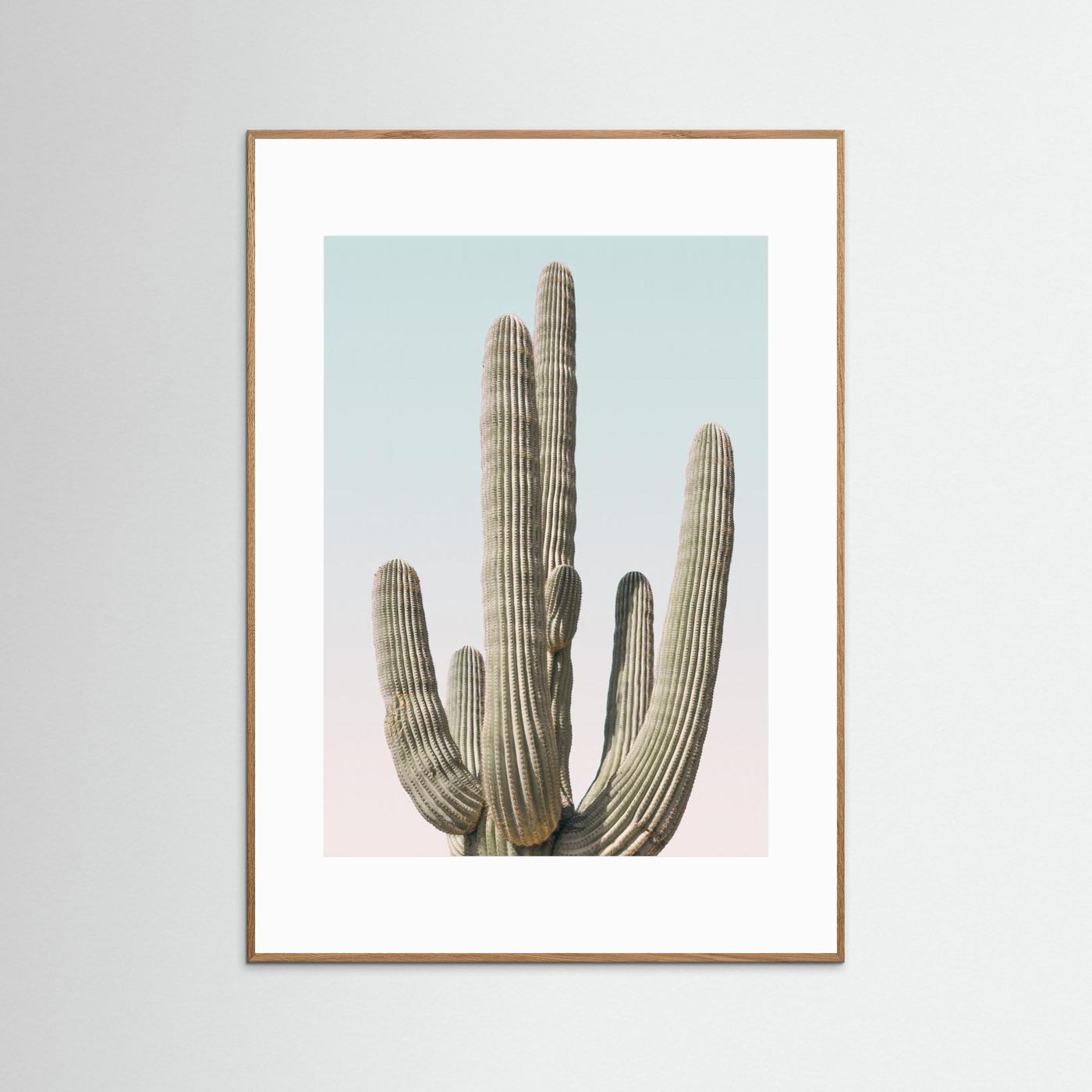 Saguaro by Kathrin Pienaar