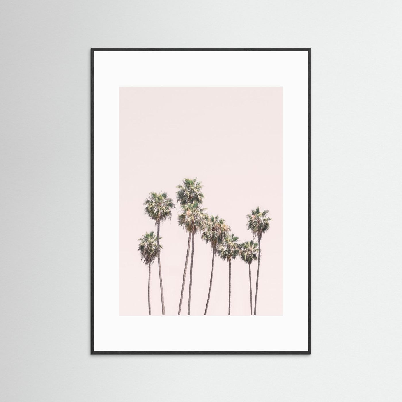 Blush Palms by Kathrin Pienaar