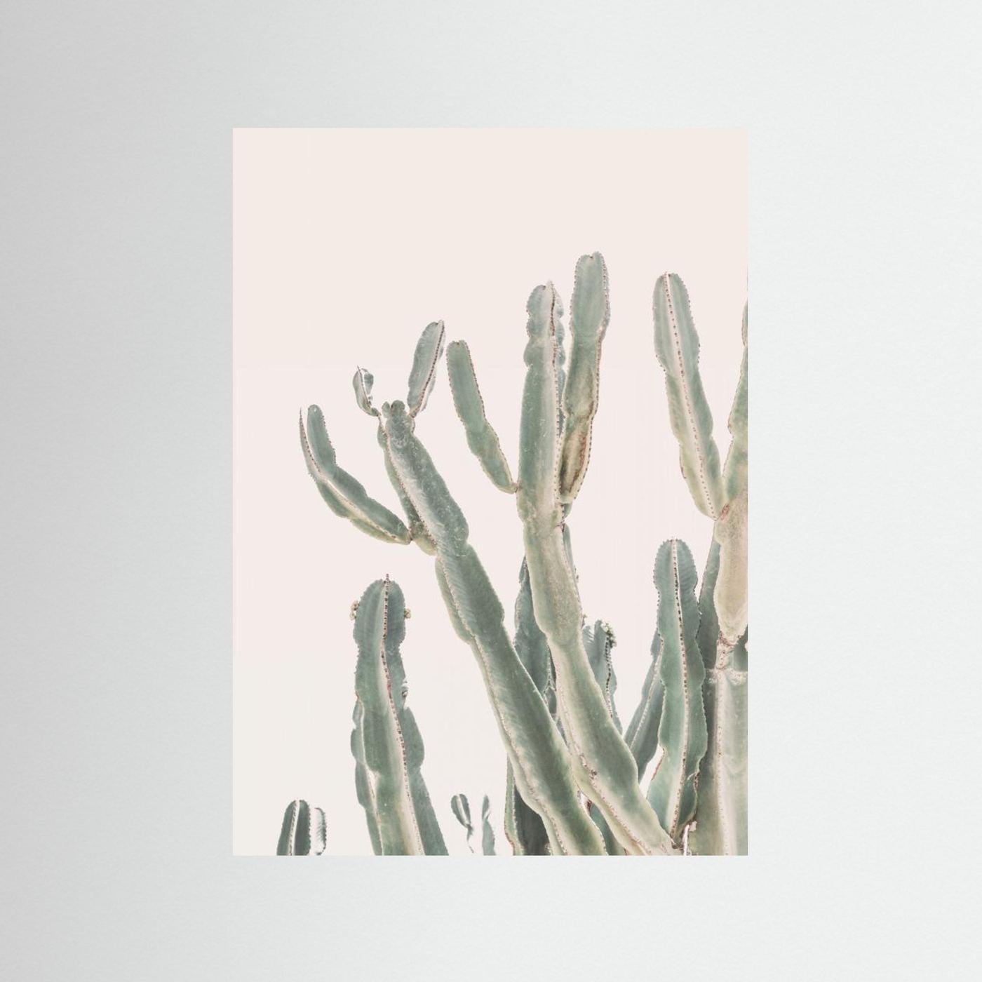 Sunrise Cactus by Kathrin Pienaar