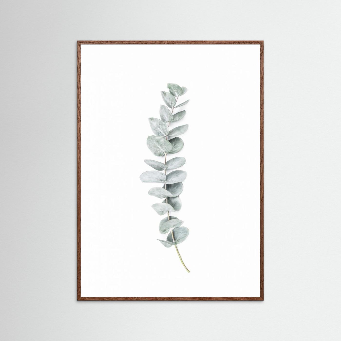 Eucalyptus II by Kathrin Pienaar