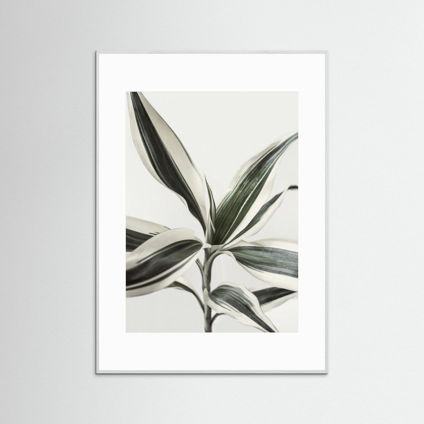 Foliage by Kathrin Pienaar