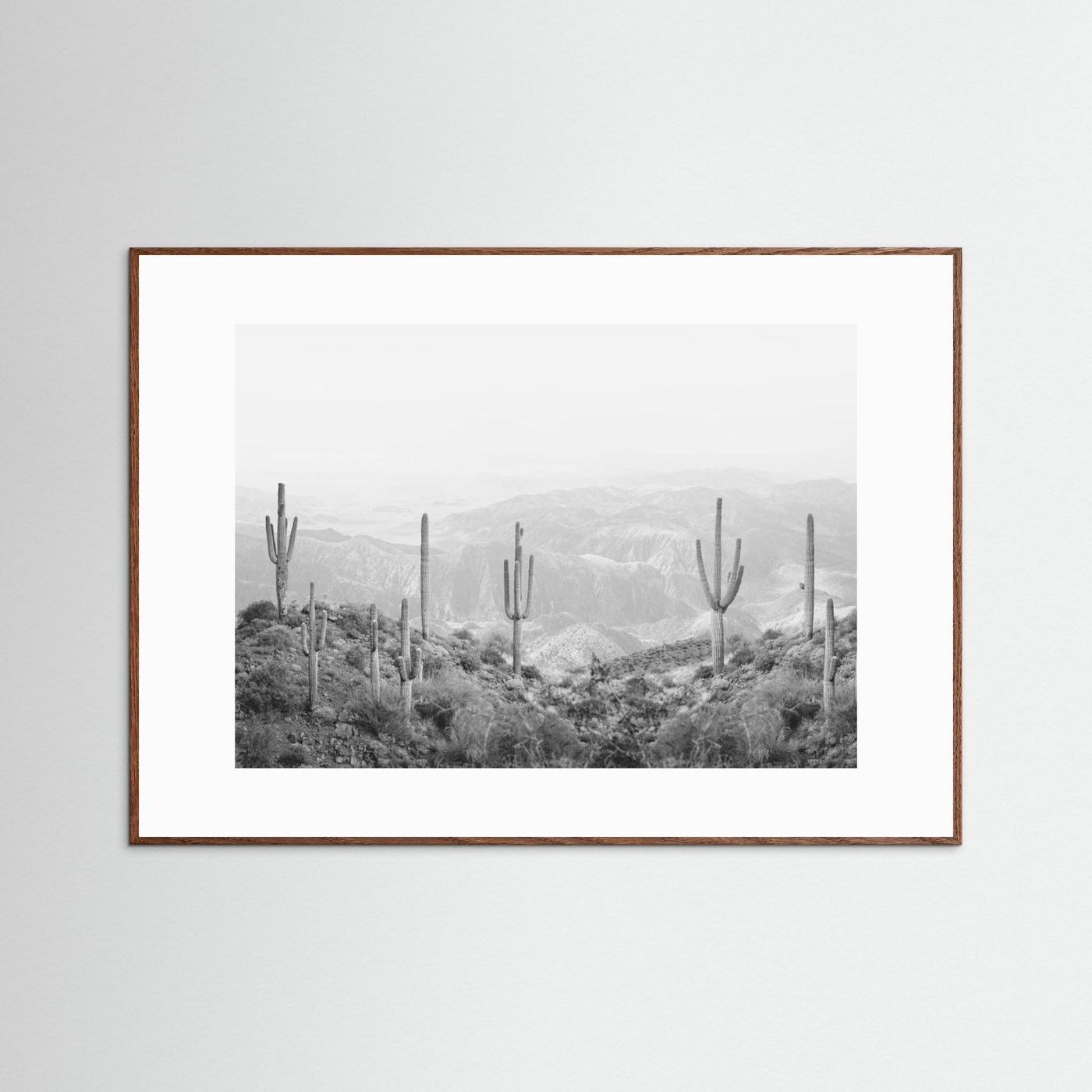 Western Cactus by Kathrin Pienaar